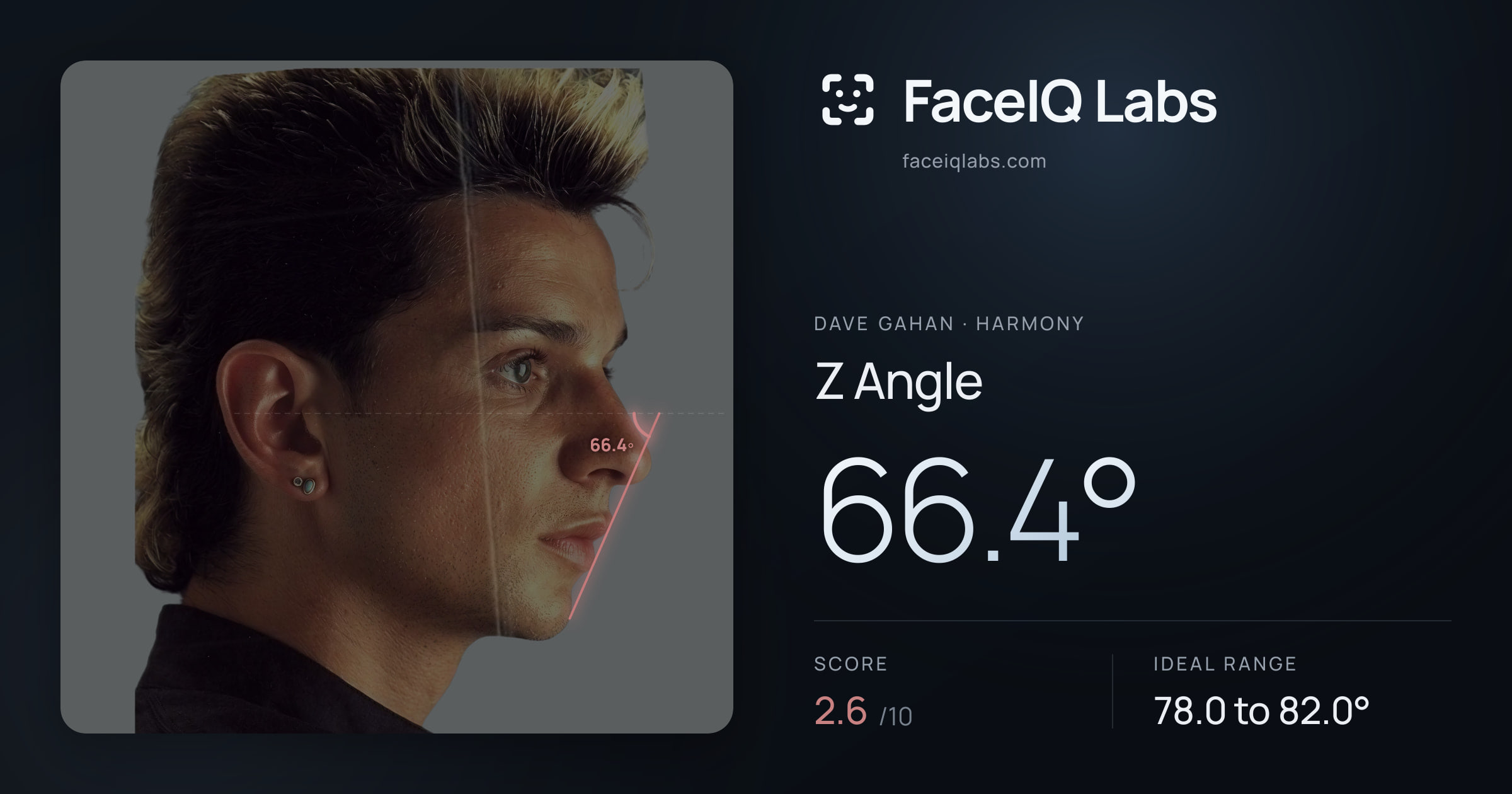 Dave Gahan Z Angle: 66.4°, drawn on the photo