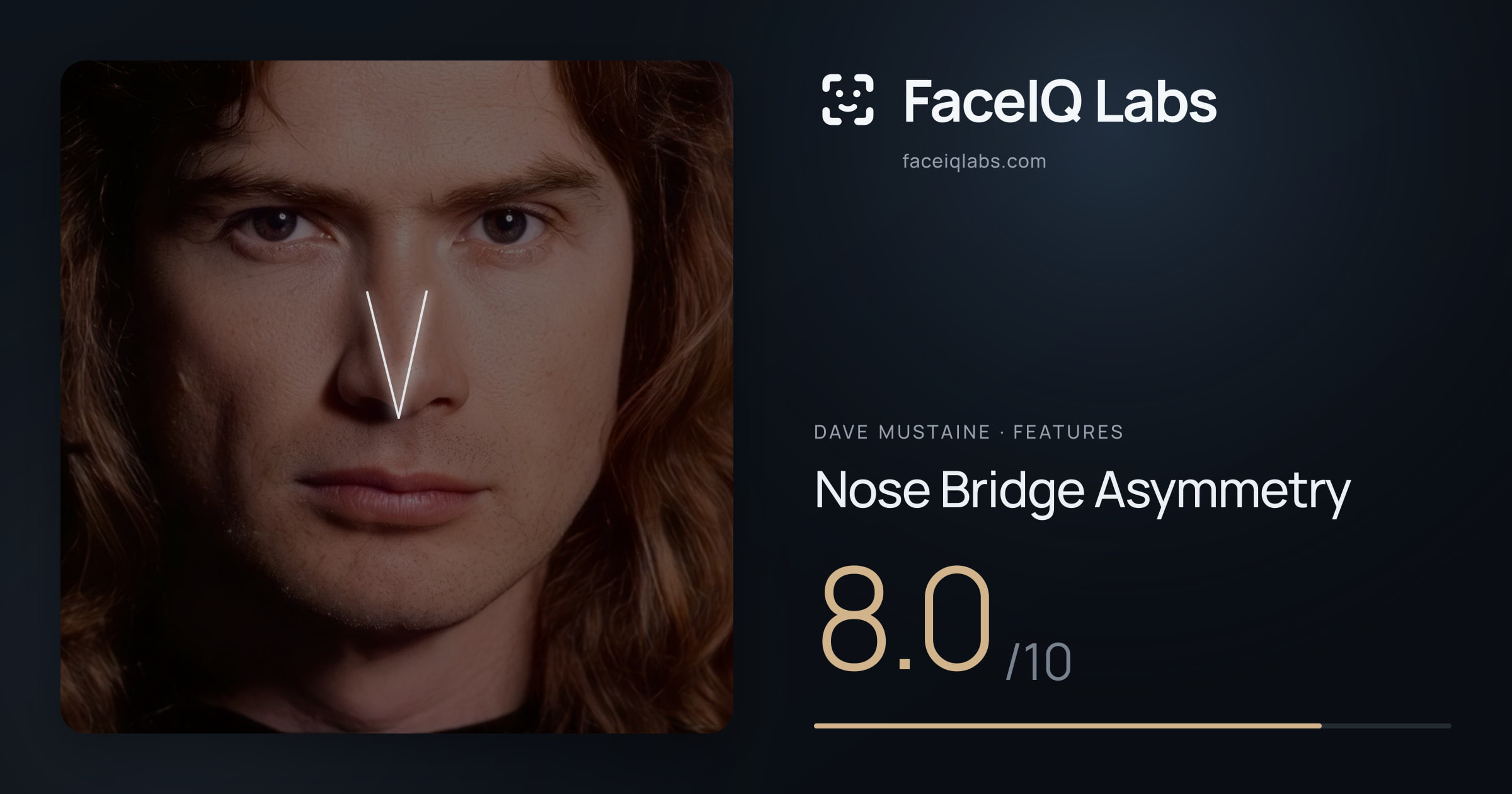 Dave Mustaine Nose Bridge Asymmetry: 8.0/10, drawn on the photo