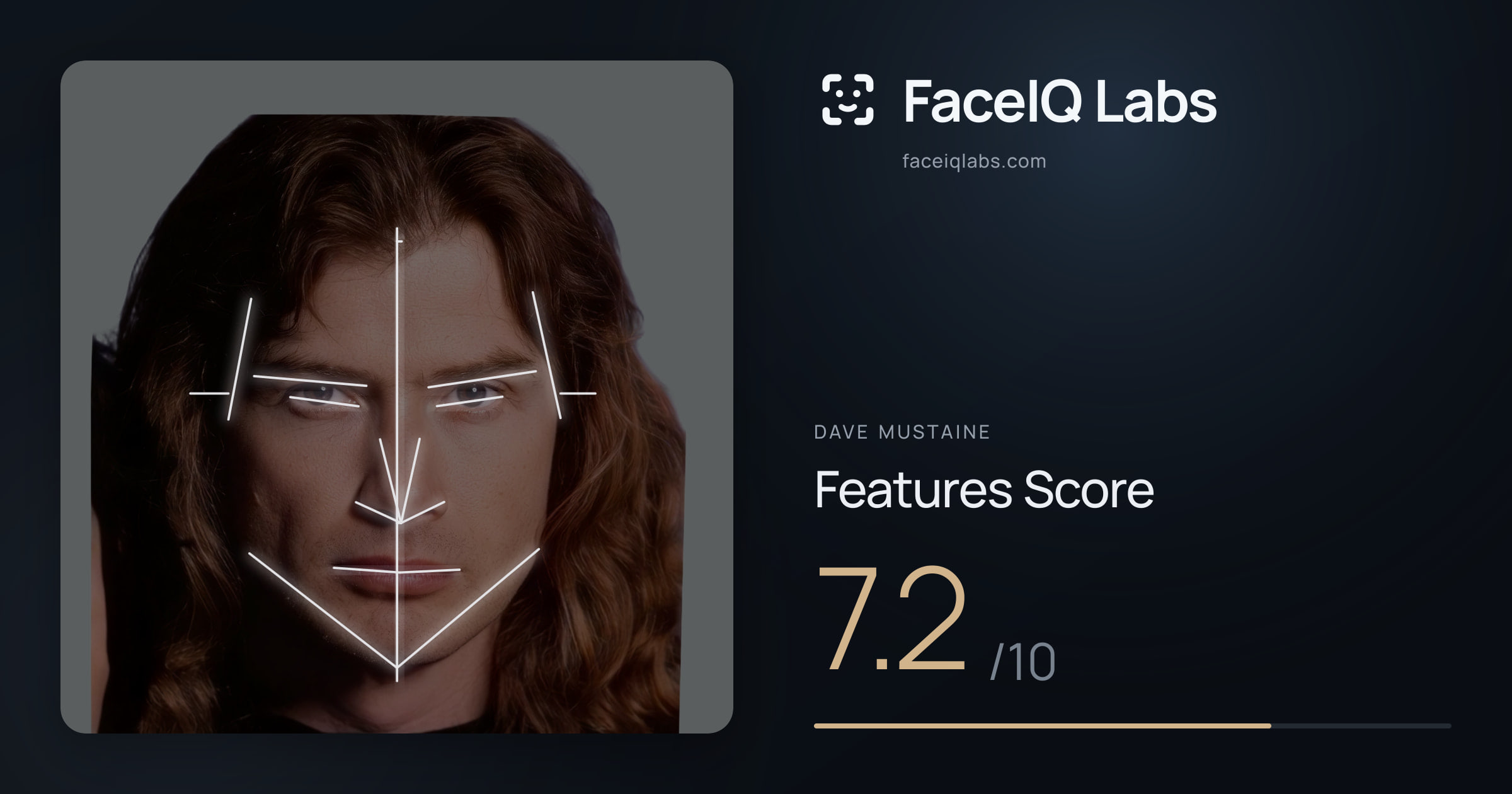 Dave Mustaine Features: 7.2/10, with each assessment drawn on the photo