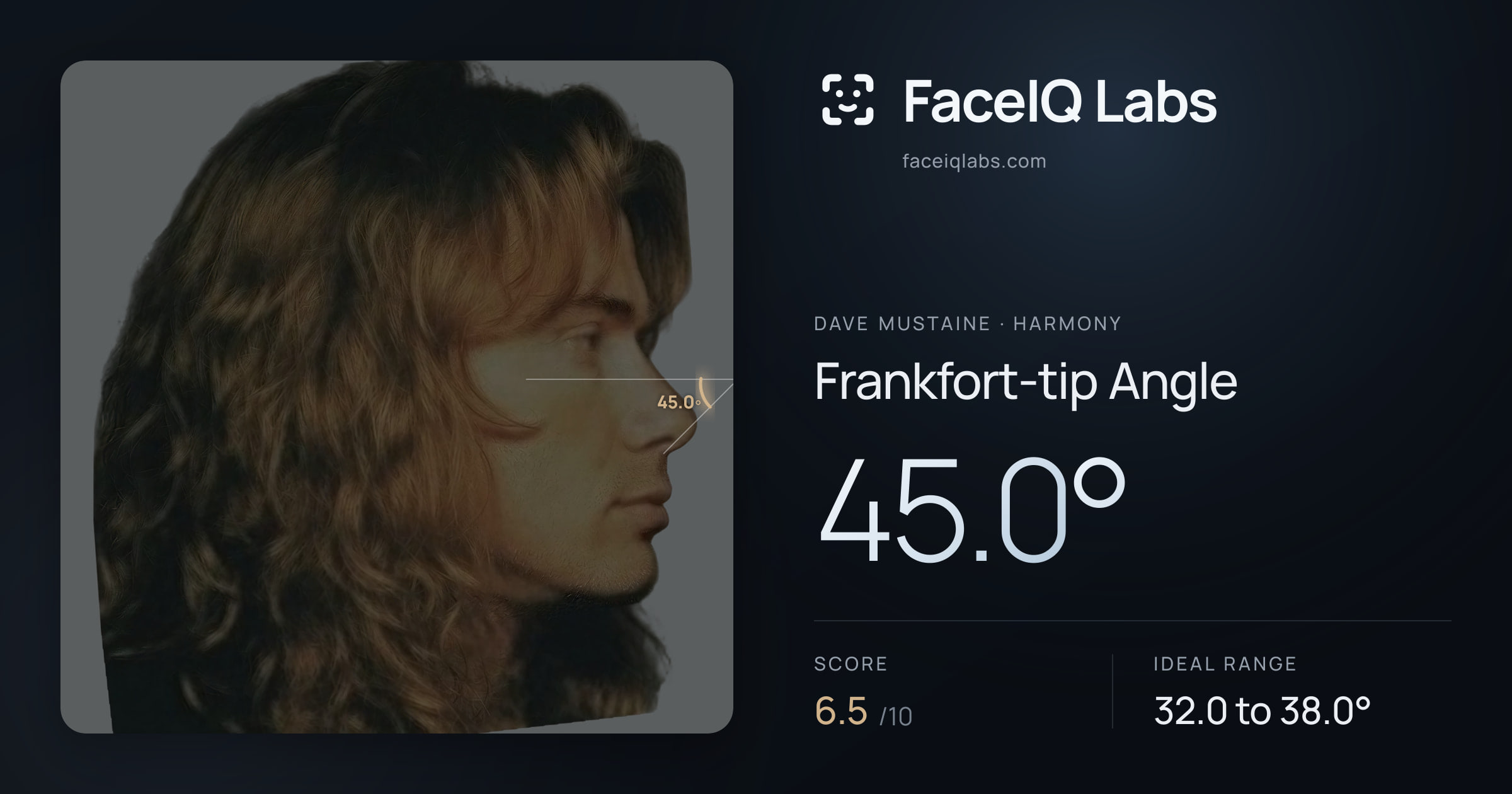Dave Mustaine Frankfort-tip Angle: 45.0°, drawn on the photo