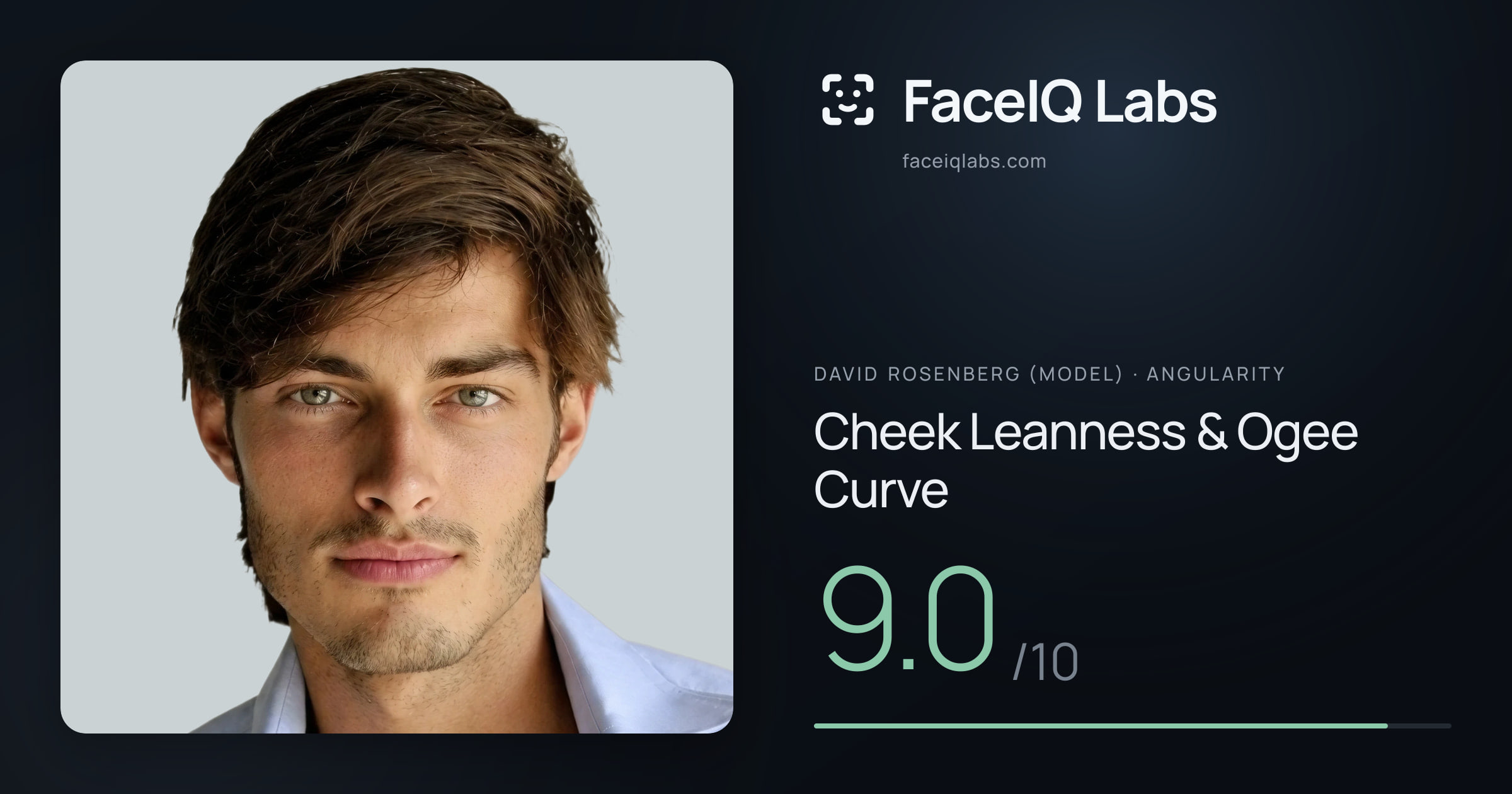 David Rosenberg (Model) Cheek Leanness & Ogee Curve: 9.0/10, drawn on the photo