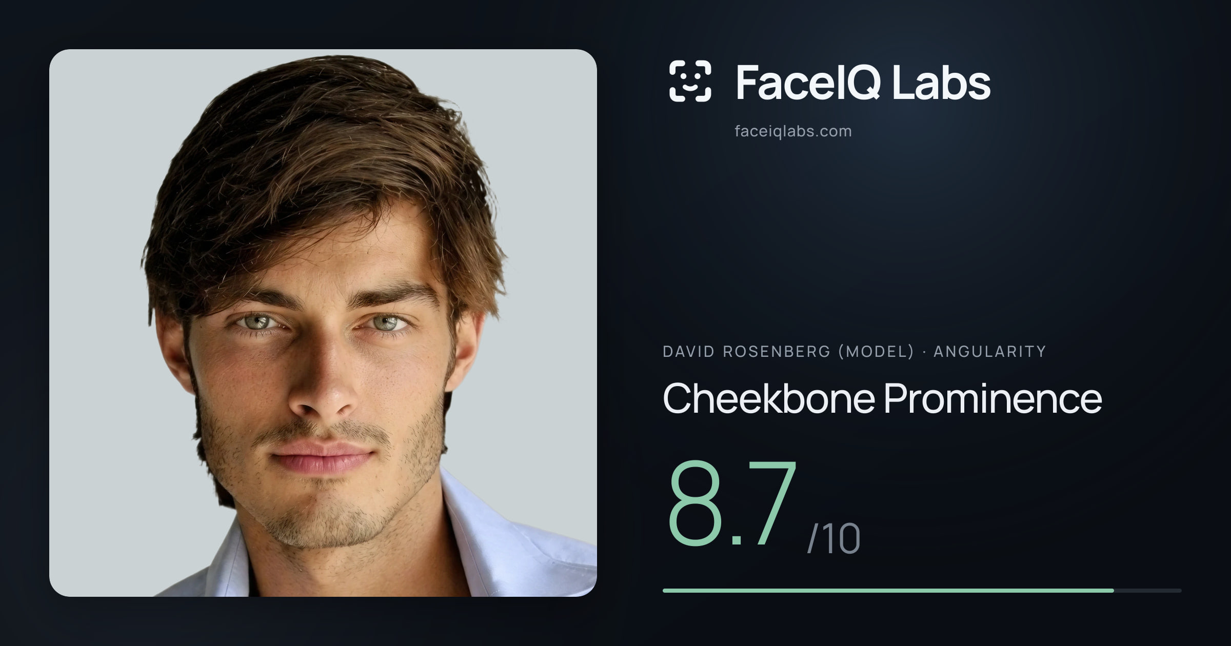 David Rosenberg (Model) Cheekbone Prominence: 8.7/10, drawn on the photo