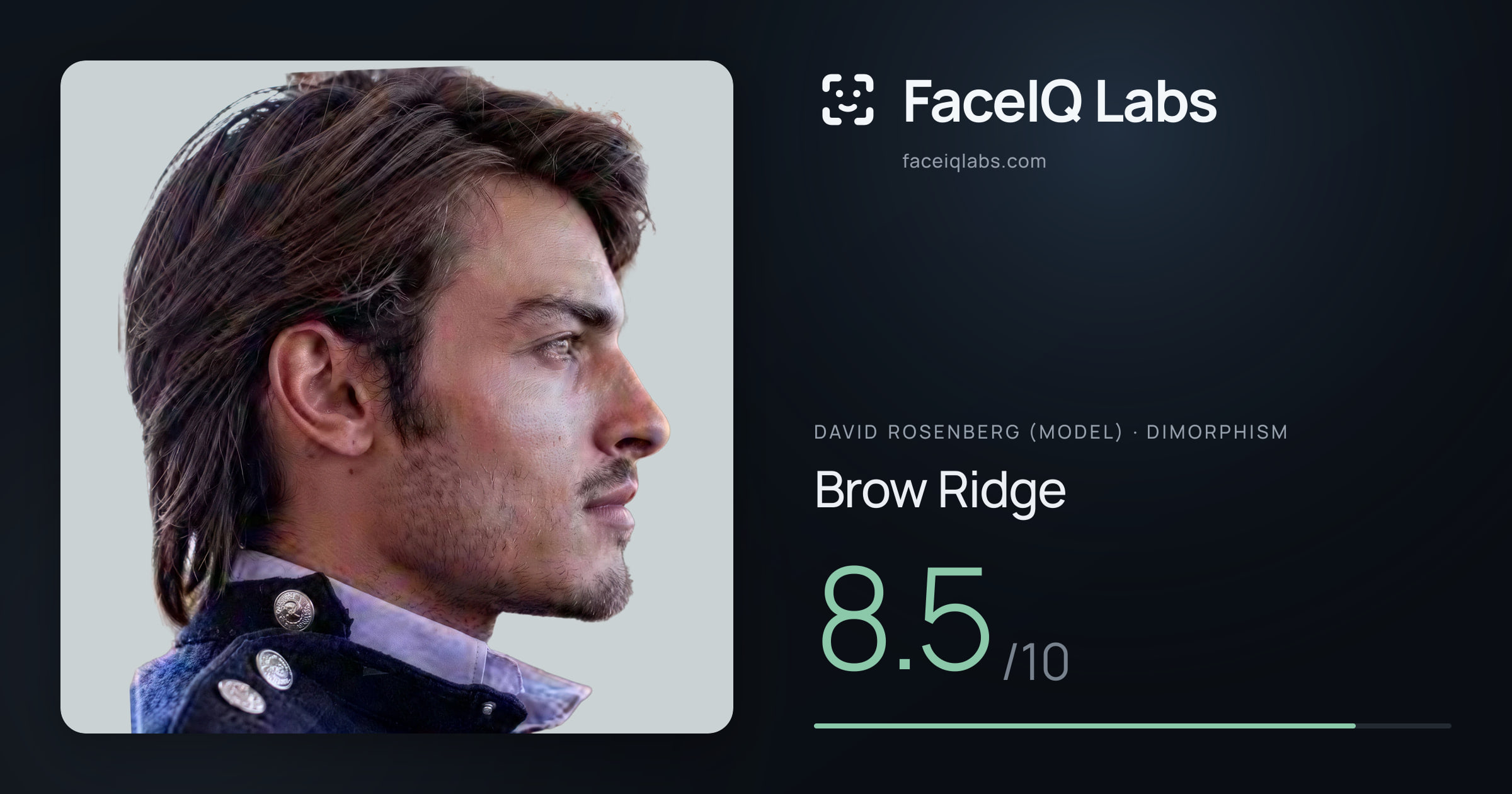 David Rosenberg (Model) Brow Ridge: 8.5/10, drawn on the photo