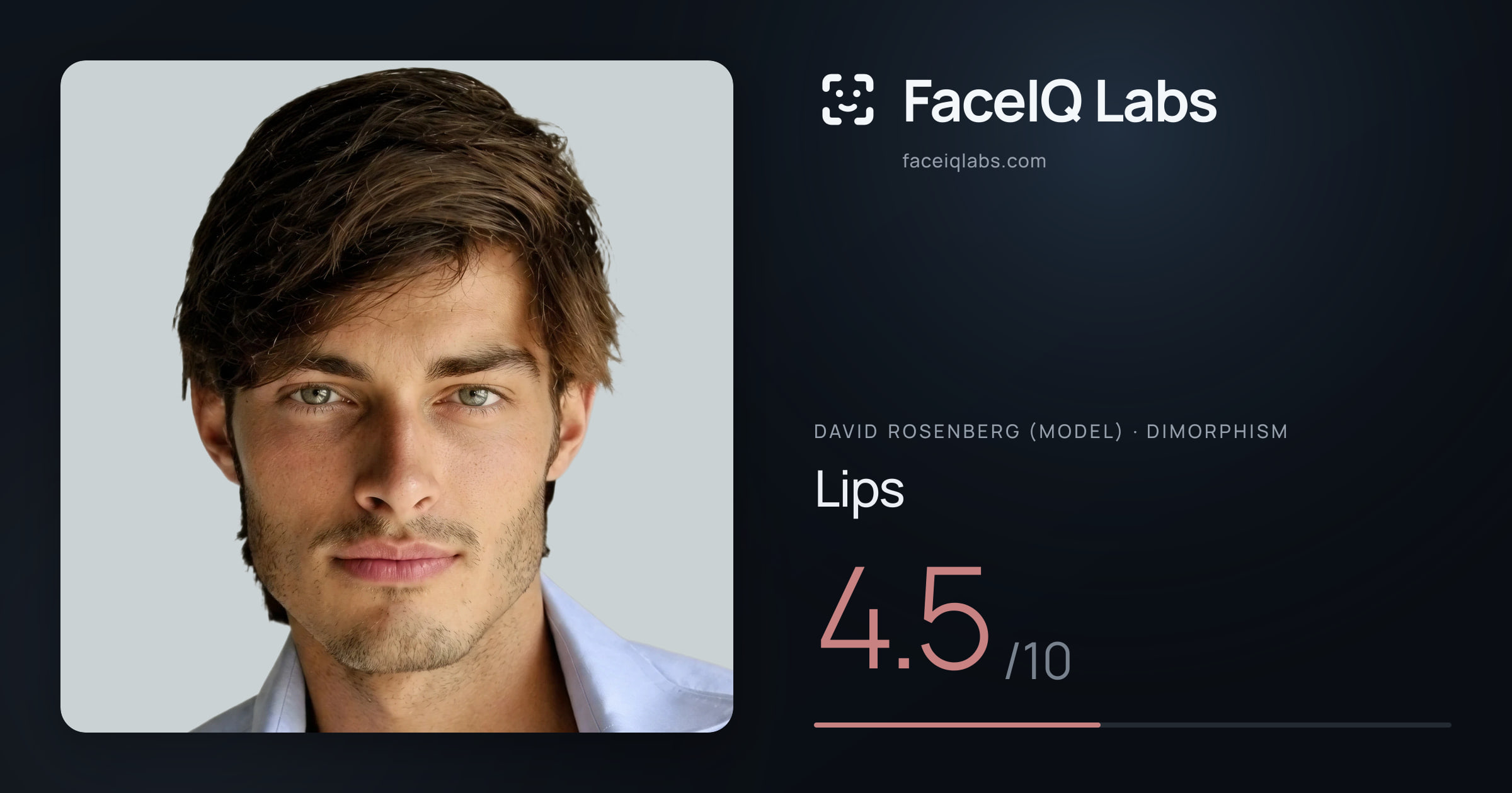 David Rosenberg (Model) Lips: 4.5/10, drawn on the photo