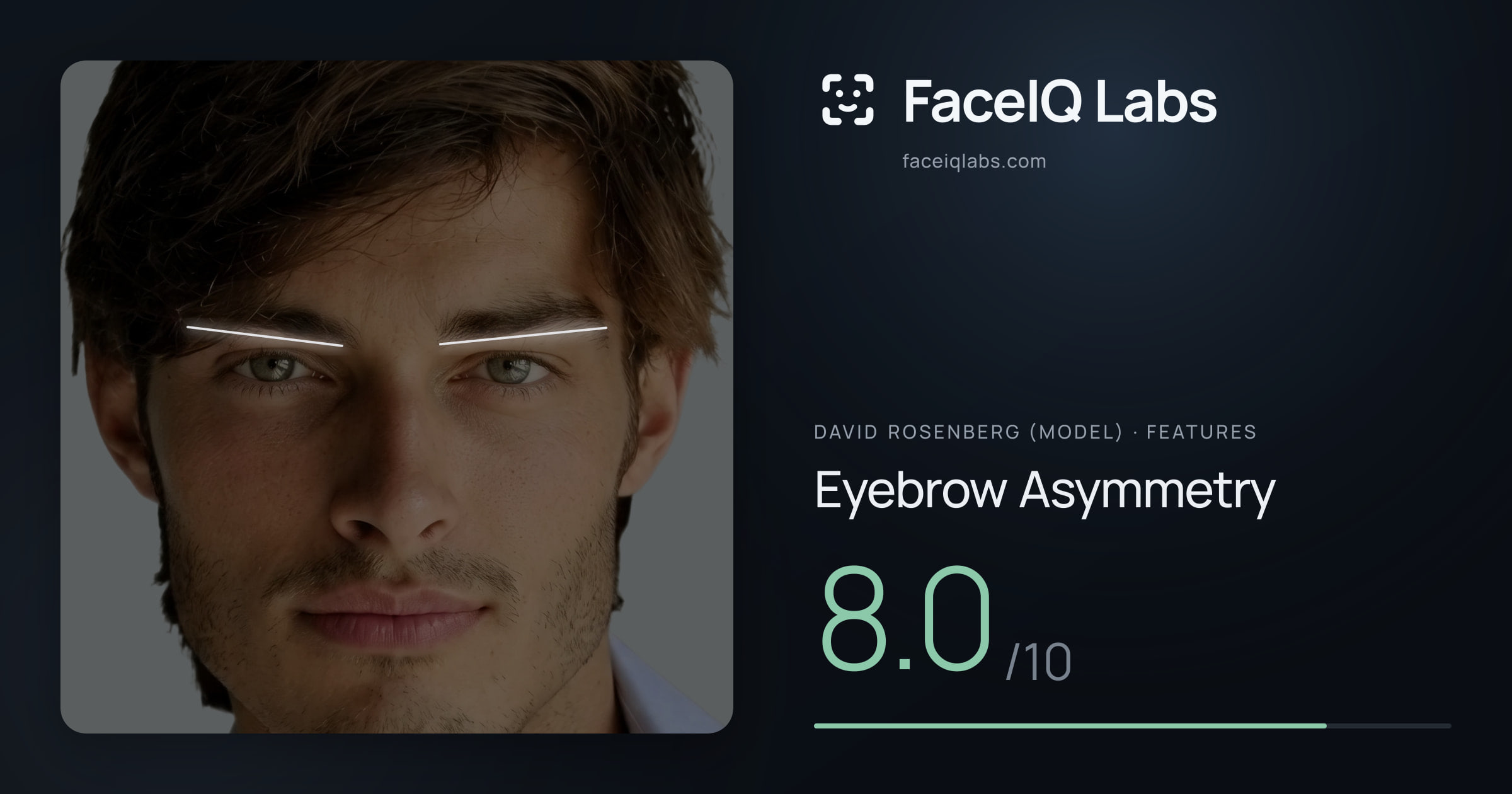 David Rosenberg (Model) Eyebrow Asymmetry: 8.0/10, drawn on the photo