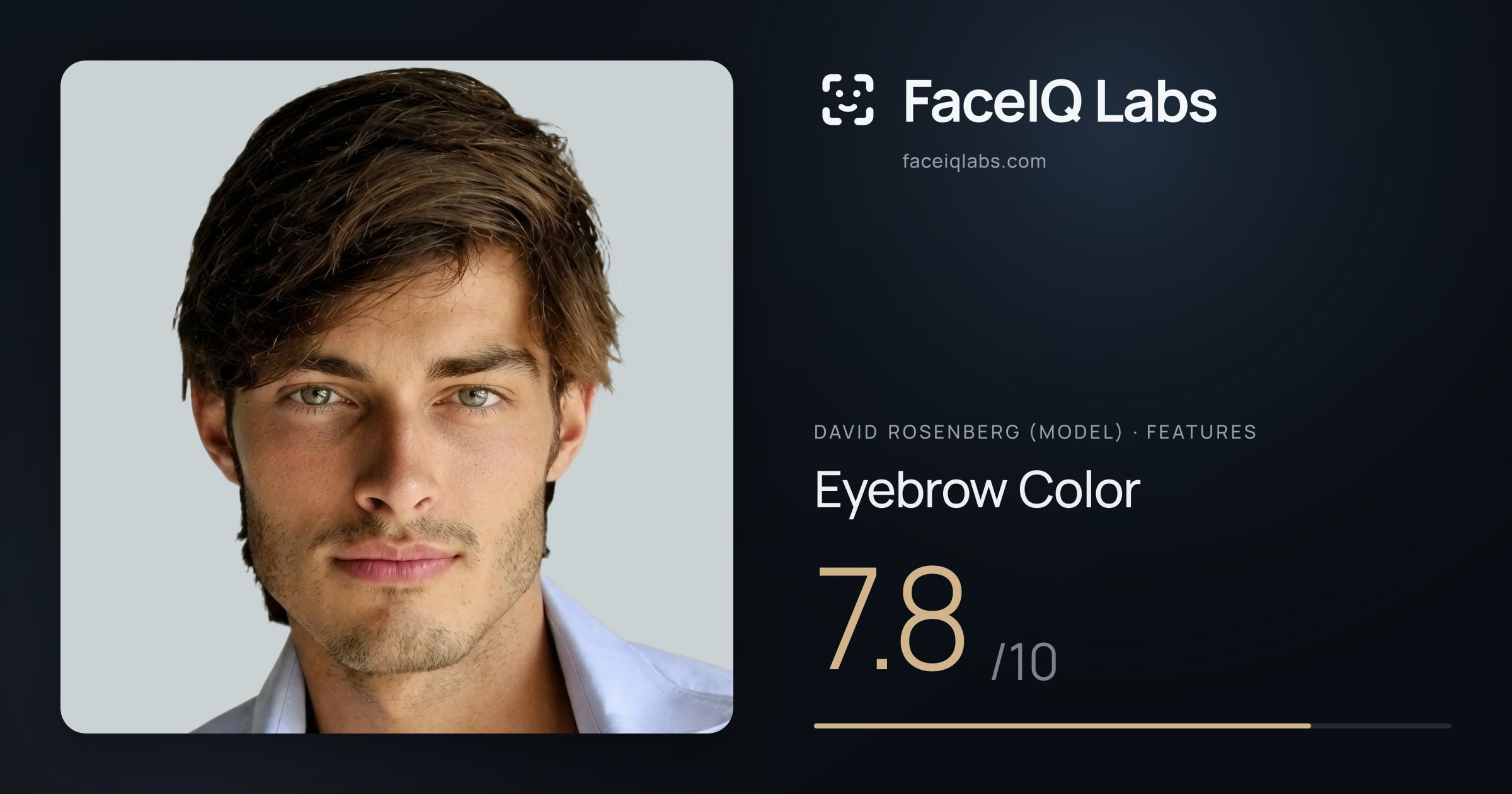 David Rosenberg (Model) Eyebrow Color: 7.8/10, drawn on the photo