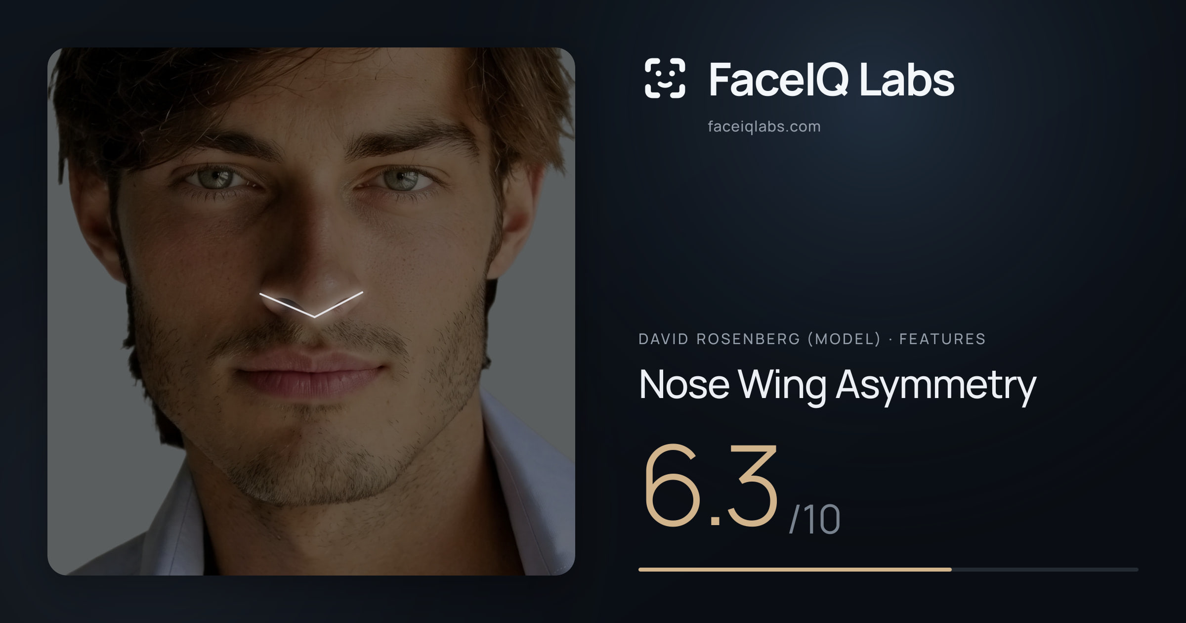 David Rosenberg (Model) Nose Wing Asymmetry: 6.3/10, drawn on the photo