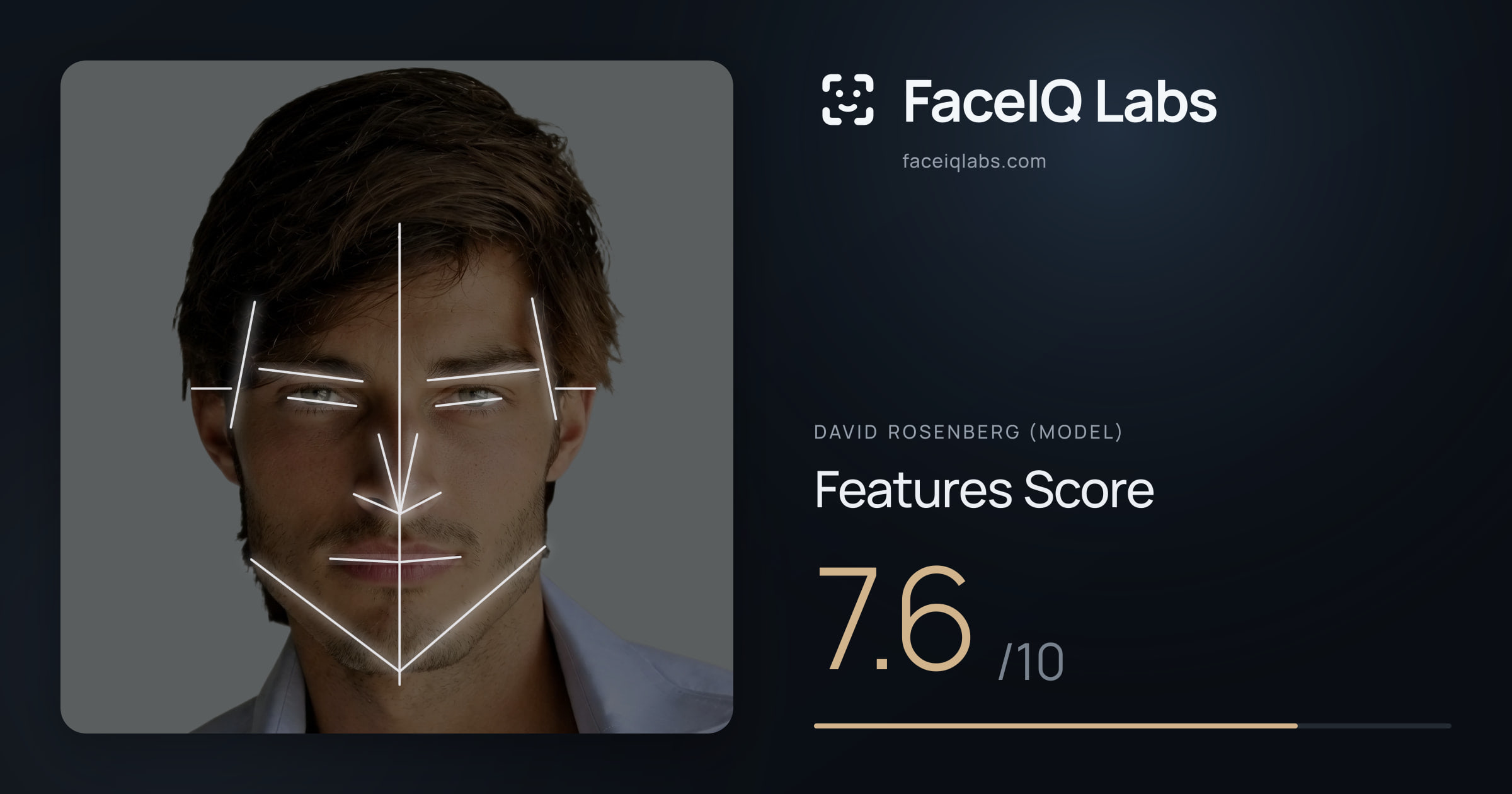 David Rosenberg (Model) Features: 7.6/10, with each assessment drawn on the photo