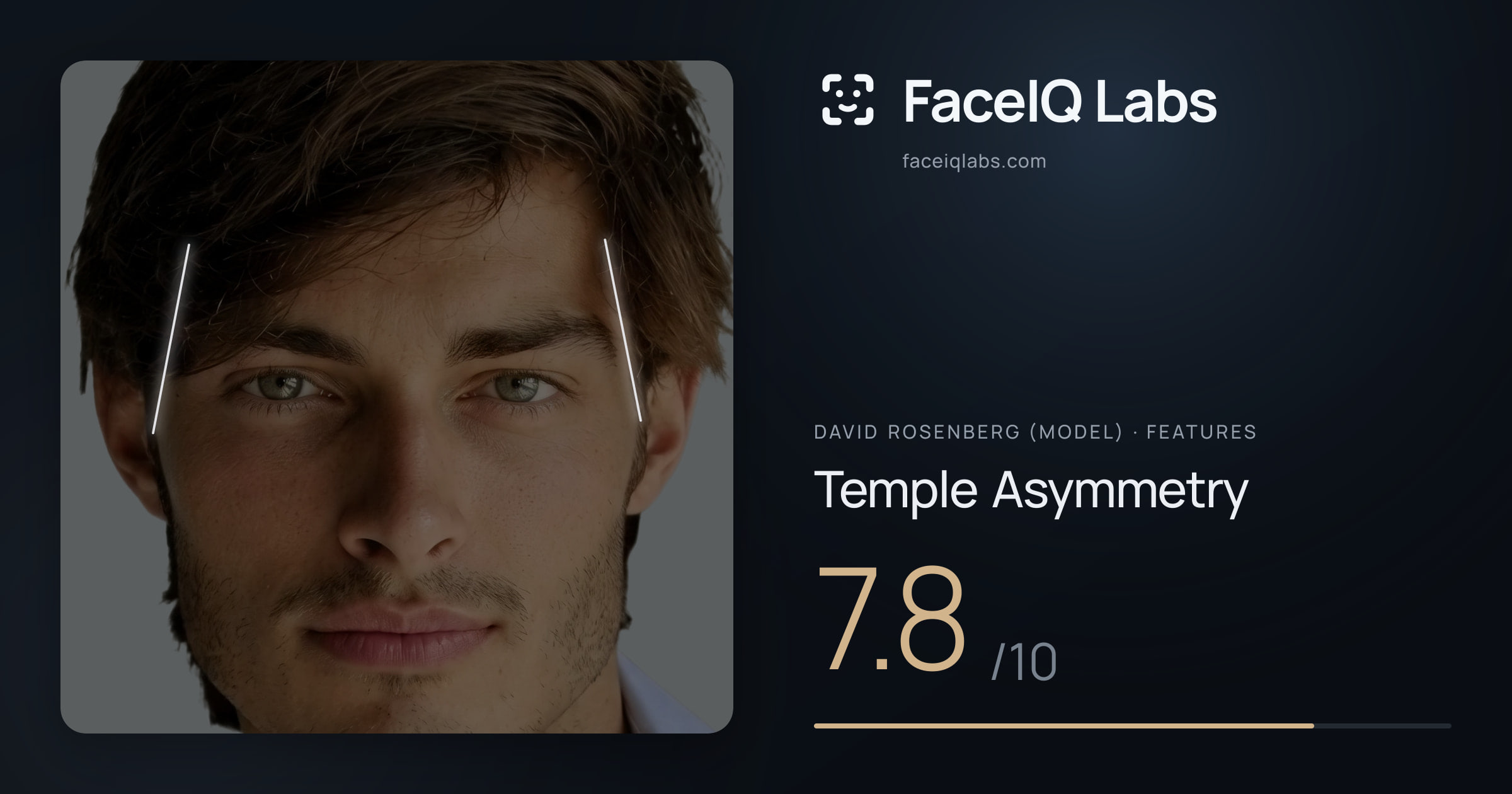 David Rosenberg (Model) Temple Asymmetry: 7.8/10, drawn on the photo
