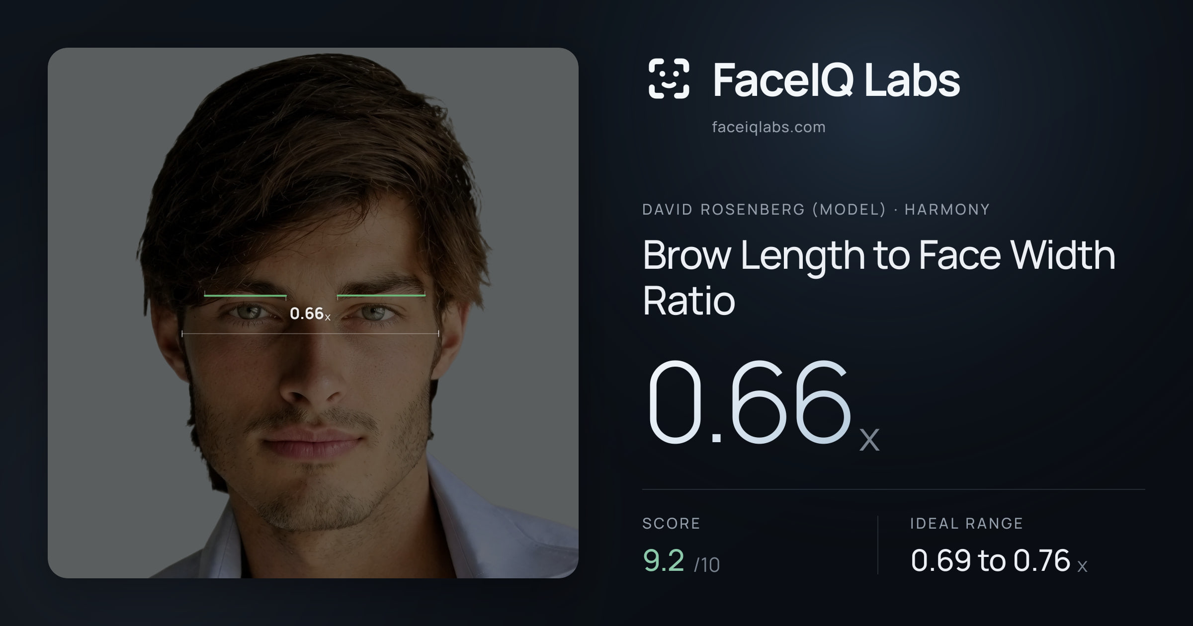 David Rosenberg (Model) Brow Length to Face Width Ratio: 0.66x, drawn on the photo