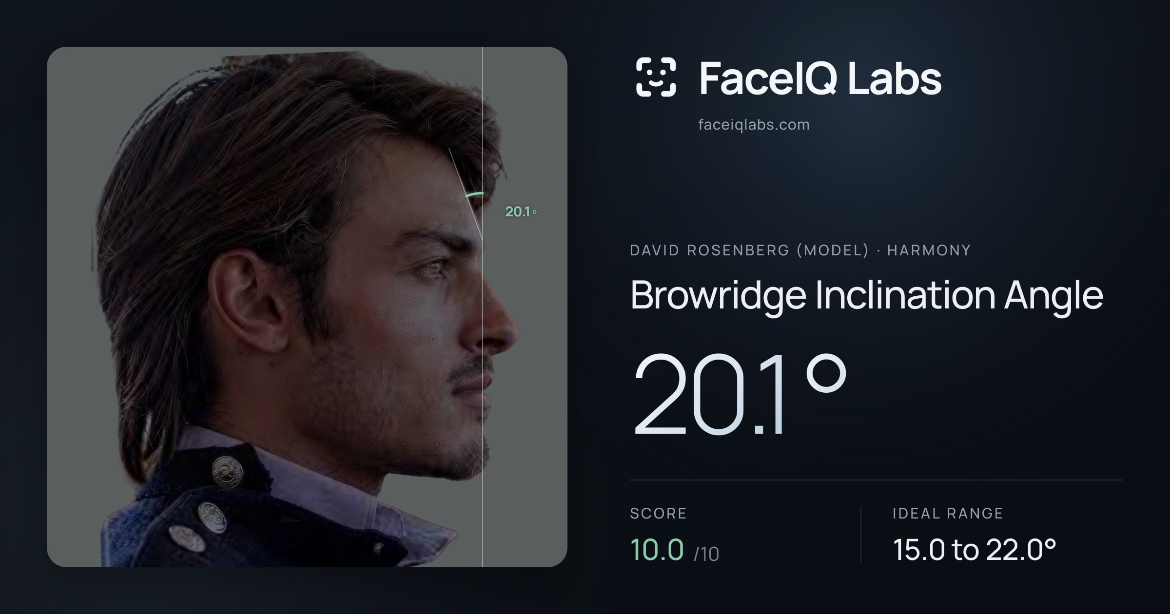 David Rosenberg (Model) Browridge Inclination Angle: 20.1°, drawn on the photo