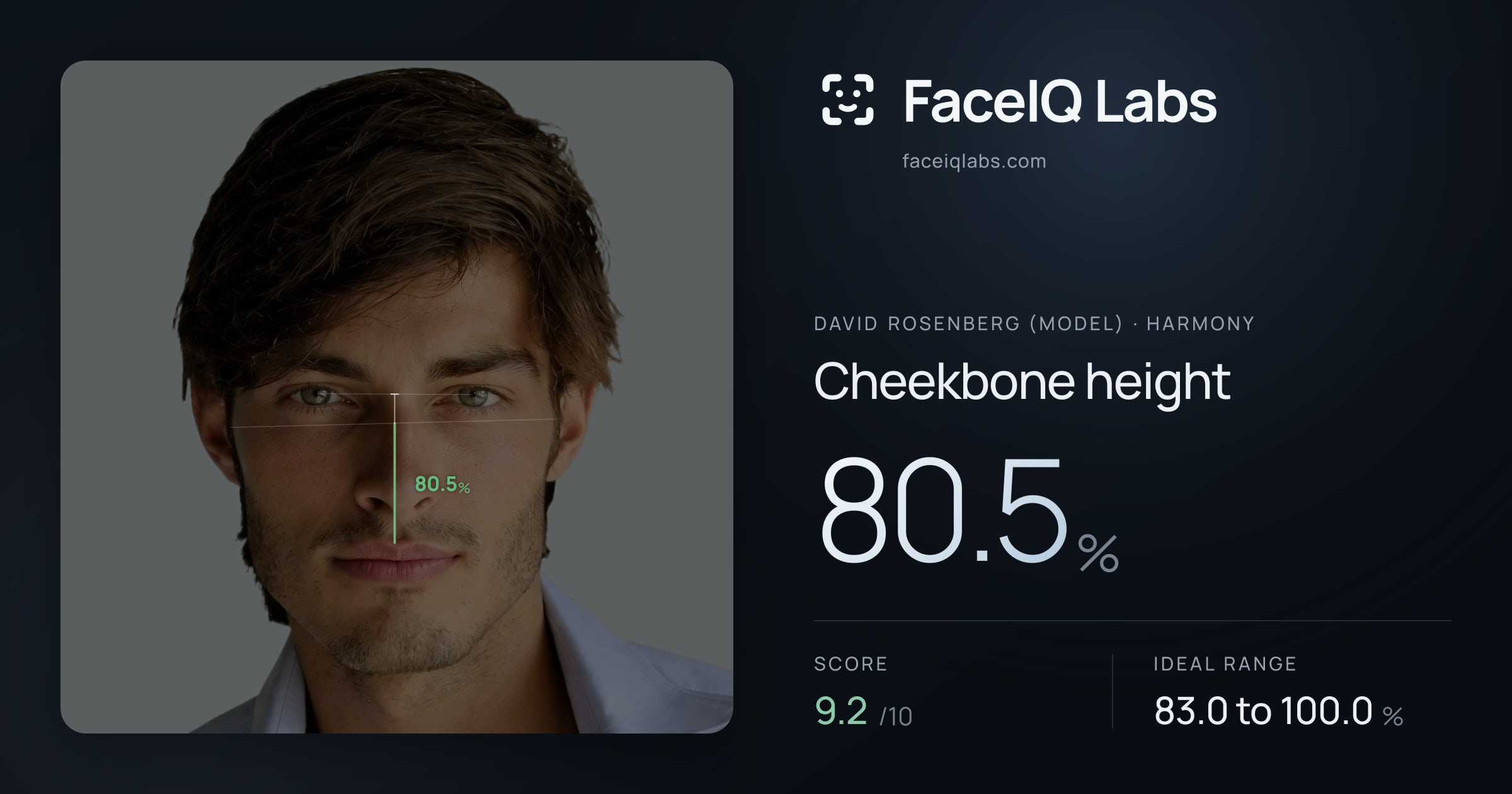 David Rosenberg (Model) Cheekbone height: 80.5%, drawn on the photo