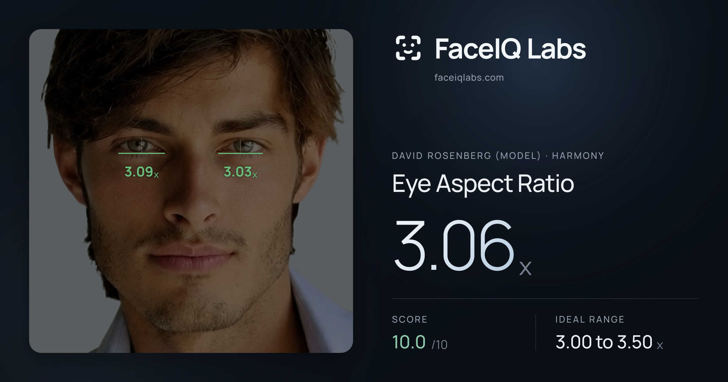 David Rosenberg (Model) Eye Aspect Ratio: 3.06x, drawn on the photo