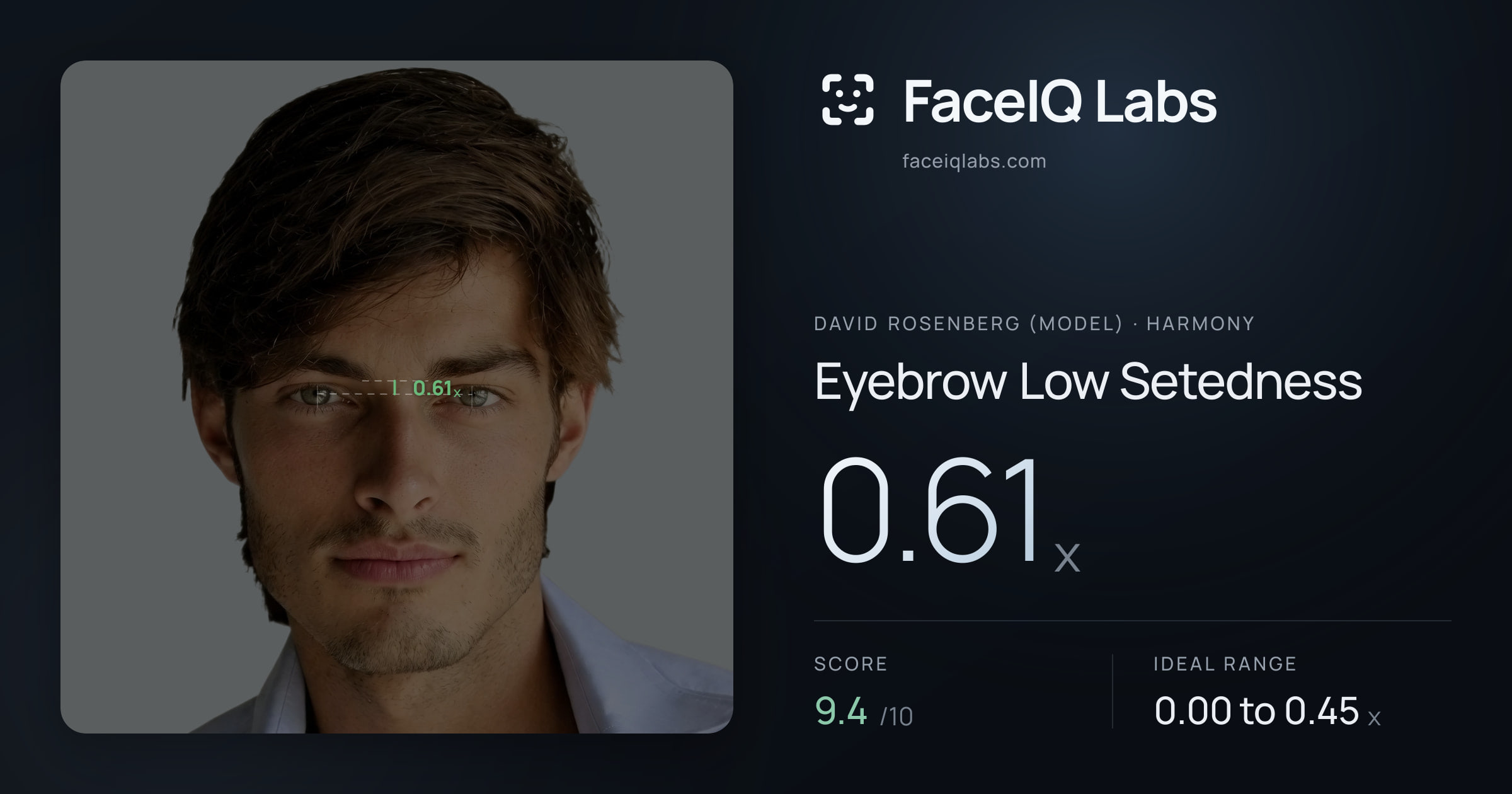 David Rosenberg (Model) Eyebrow Low Setedness: 0.61x, drawn on the photo