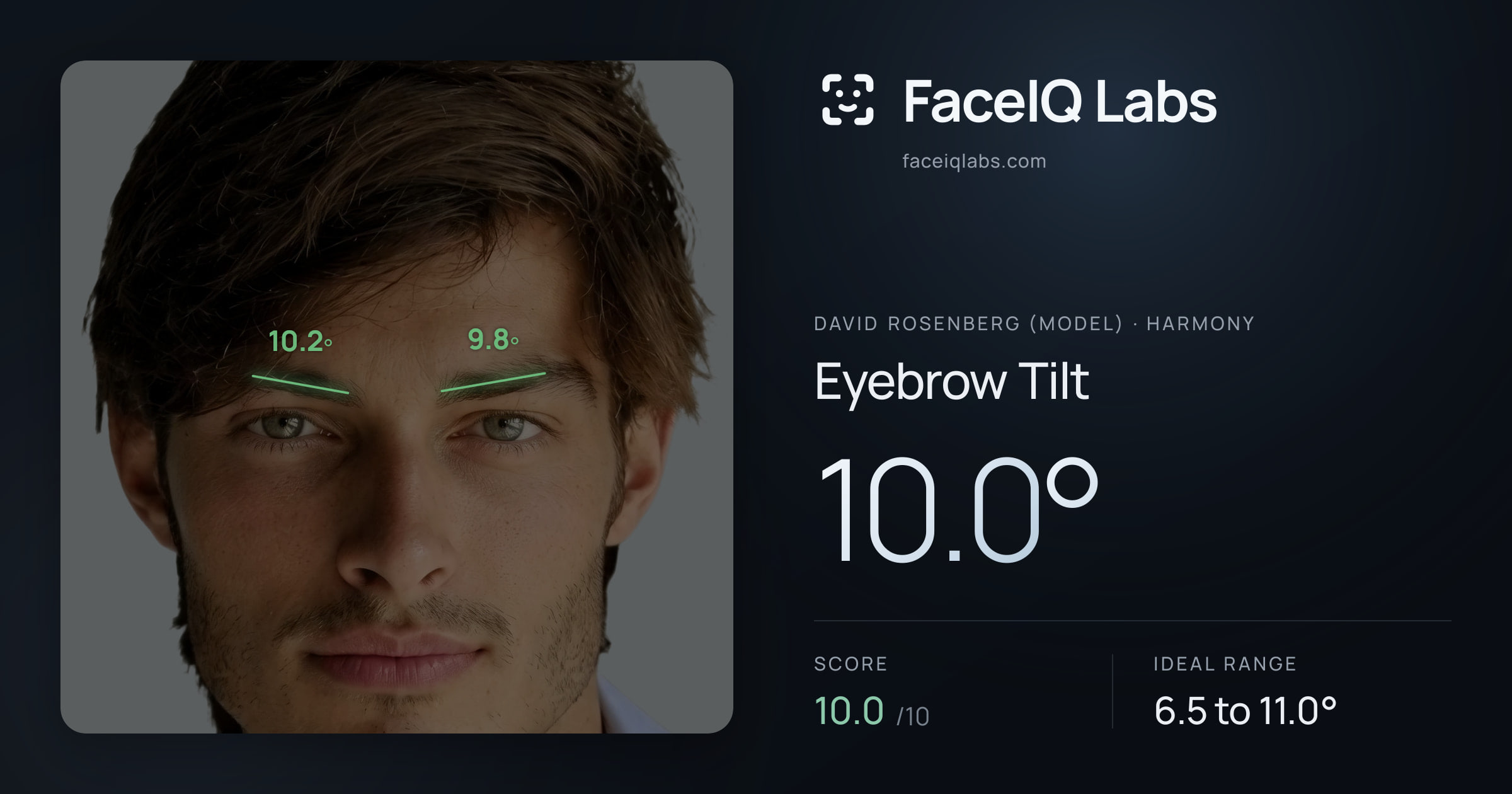David Rosenberg (Model) Eyebrow Tilt: 10.0°, drawn on the photo