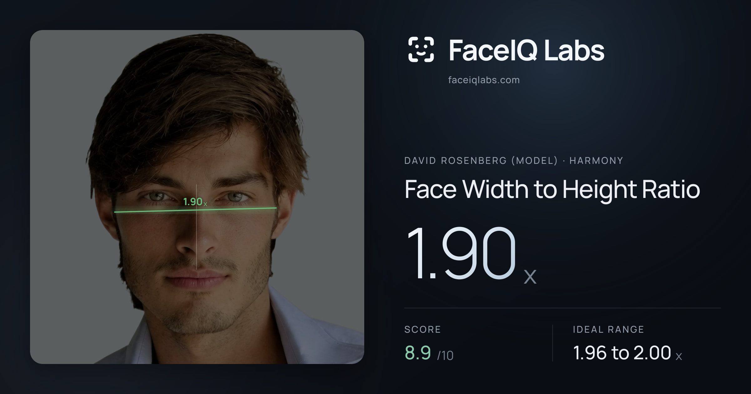 David Rosenberg (Model) Face Width to Height Ratio: 1.90x, drawn on the photo
