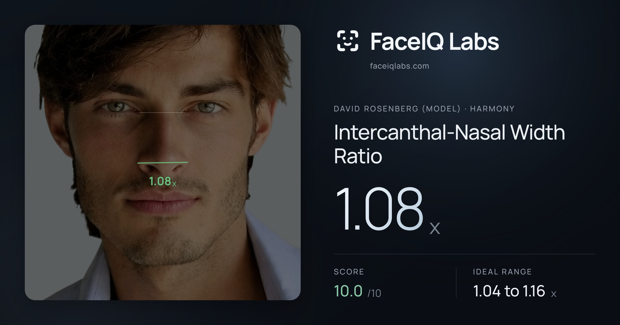 David Rosenberg (Model) Intercanthal-Nasal Width Ratio: 1.08x, drawn on the photo