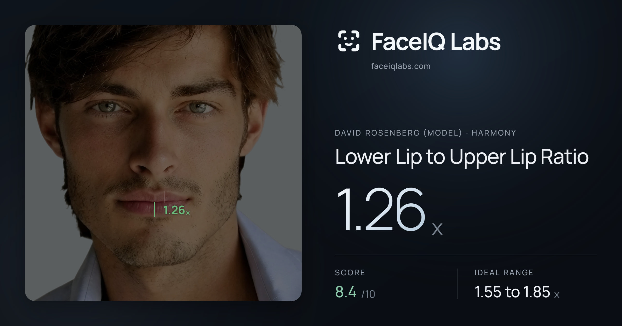 David Rosenberg (Model) Lower Lip to Upper Lip Ratio: 1.26x, drawn on the photo