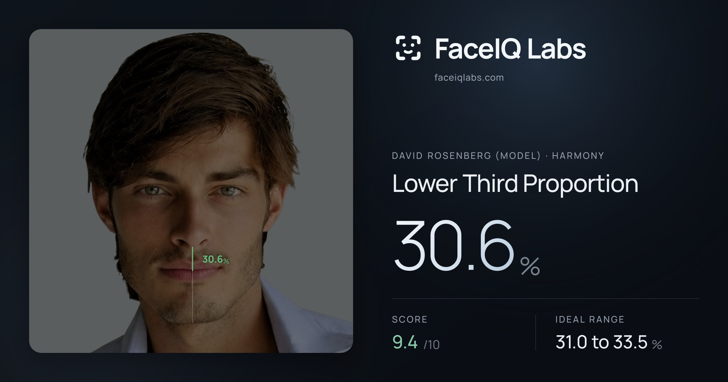 David Rosenberg (Model) Lower Third Proportion: 30.6%, drawn on the photo
