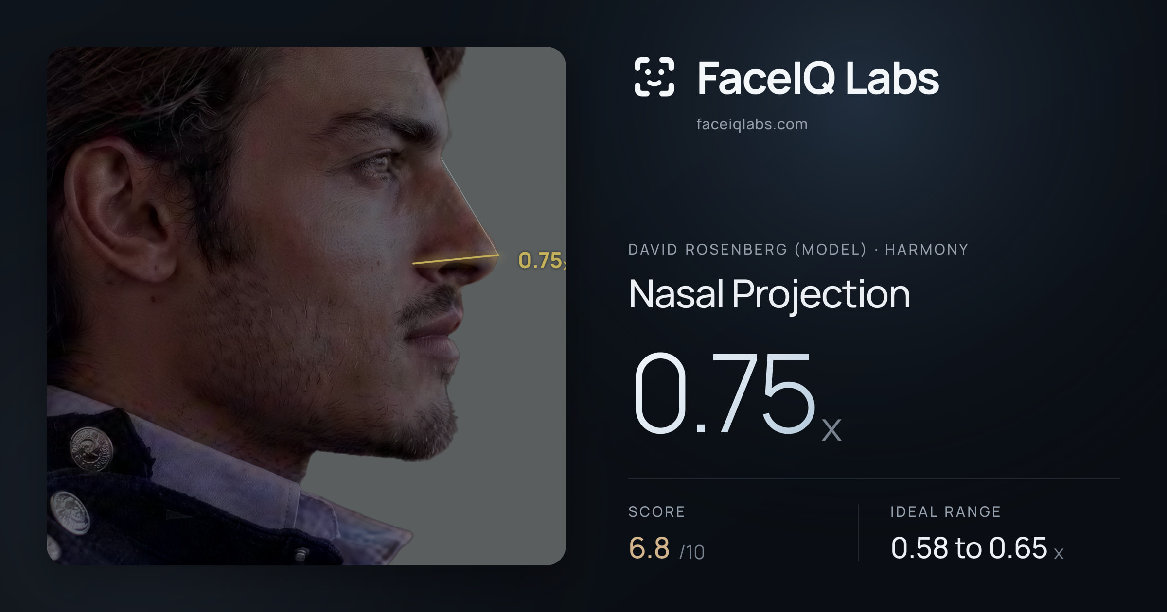 David Rosenberg (Model) Nasal Projection: 0.75x, drawn on the photo