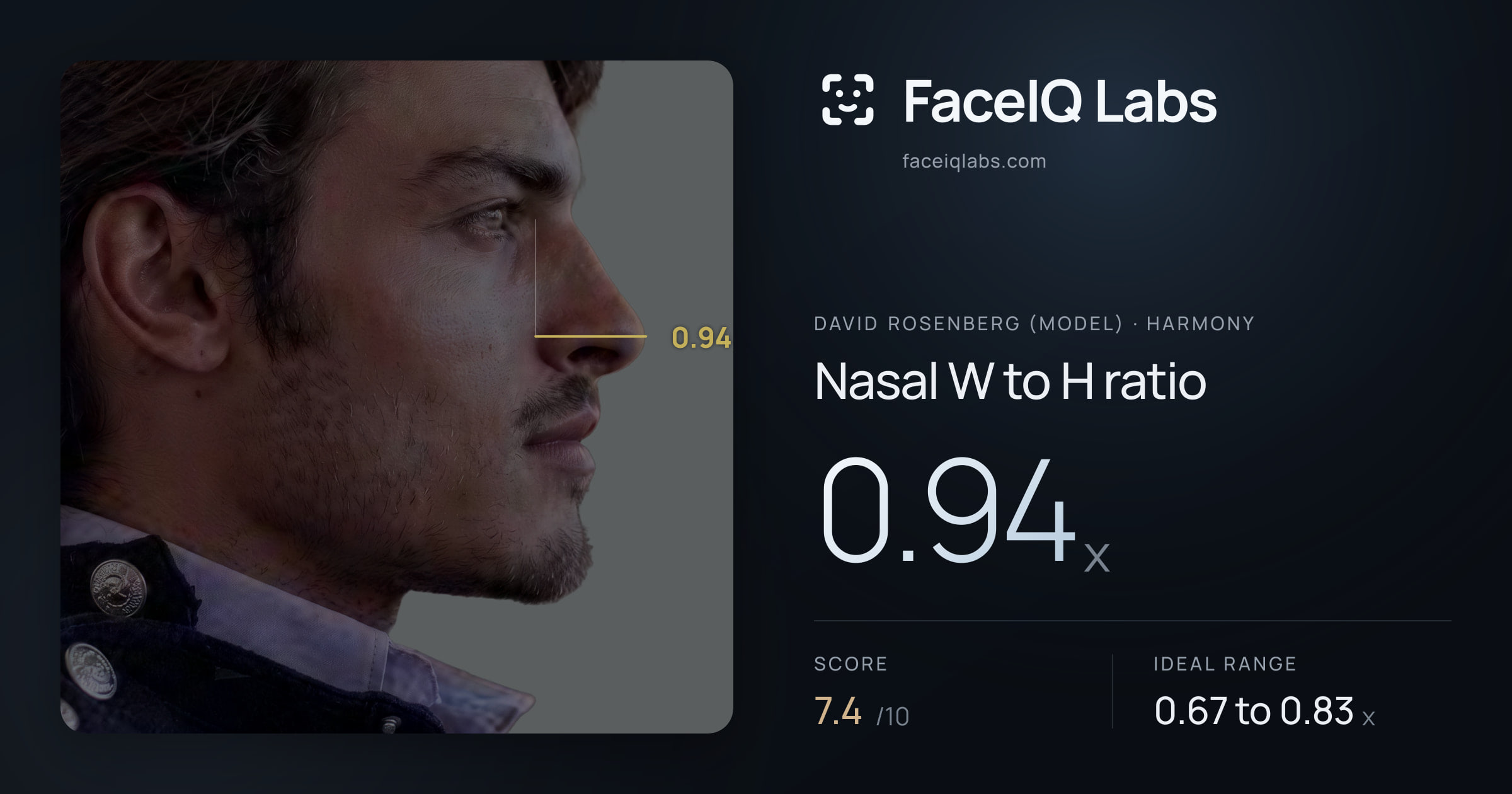 David Rosenberg (Model) Nasal W to H ratio: 0.94x, drawn on the photo