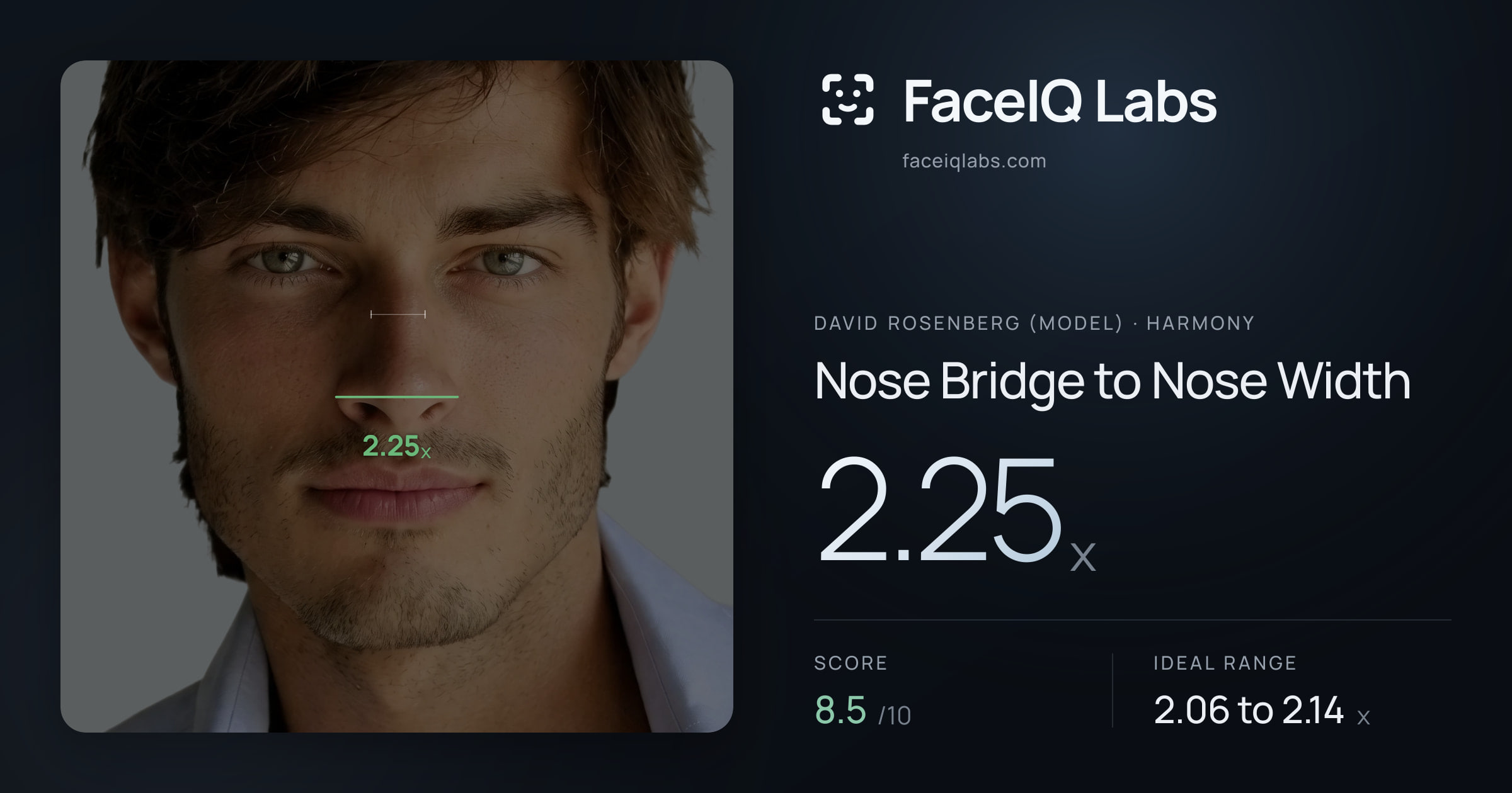 David Rosenberg (Model) Nose Bridge to Nose Width: 2.25x, drawn on the photo
