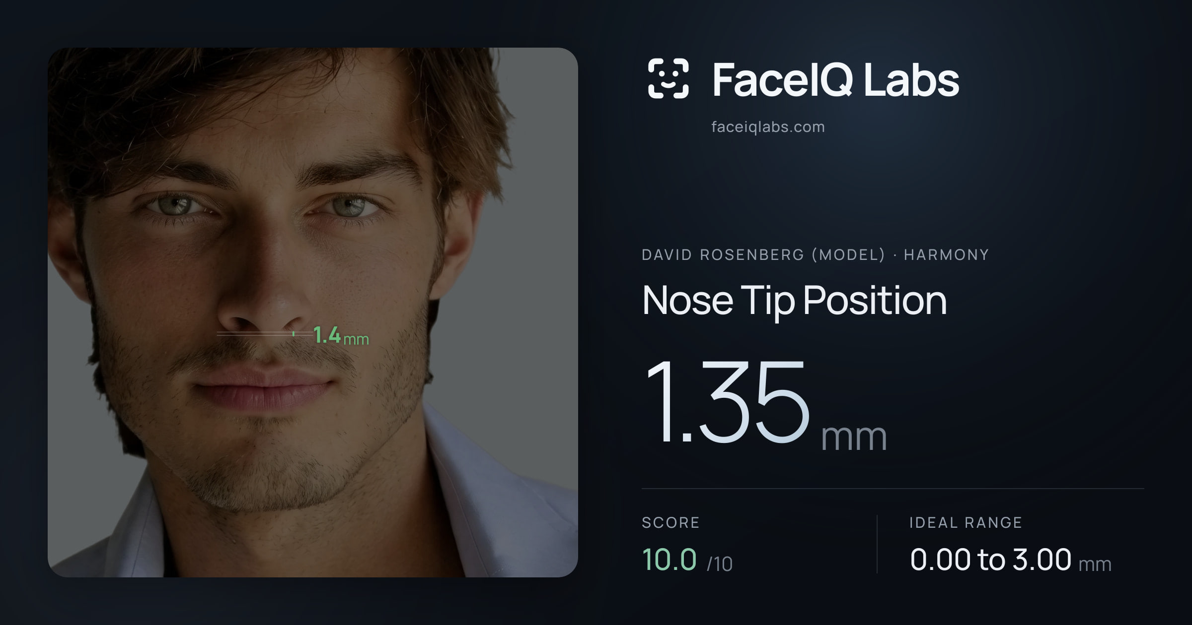 David Rosenberg (Model) Nose Tip Position: 1.35mm, drawn on the photo