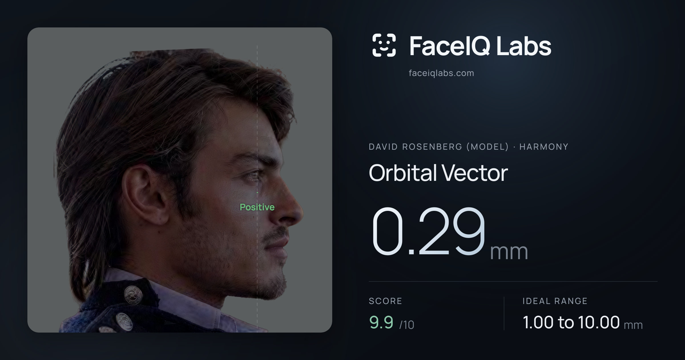David Rosenberg (Model) Orbital Vector: 0.29mm, drawn on the photo