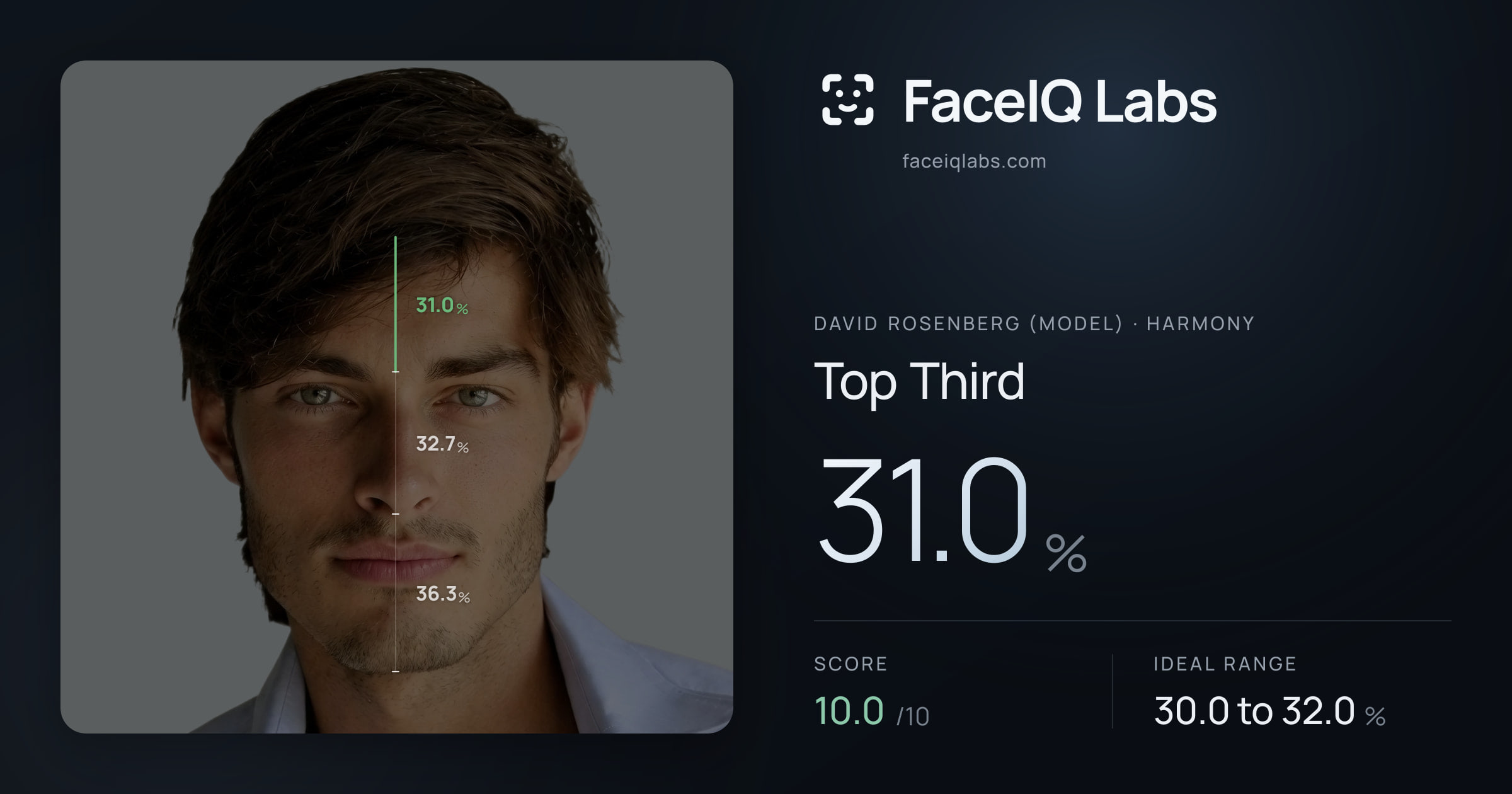 David Rosenberg (Model) Top Third: 31.0%, drawn on the photo