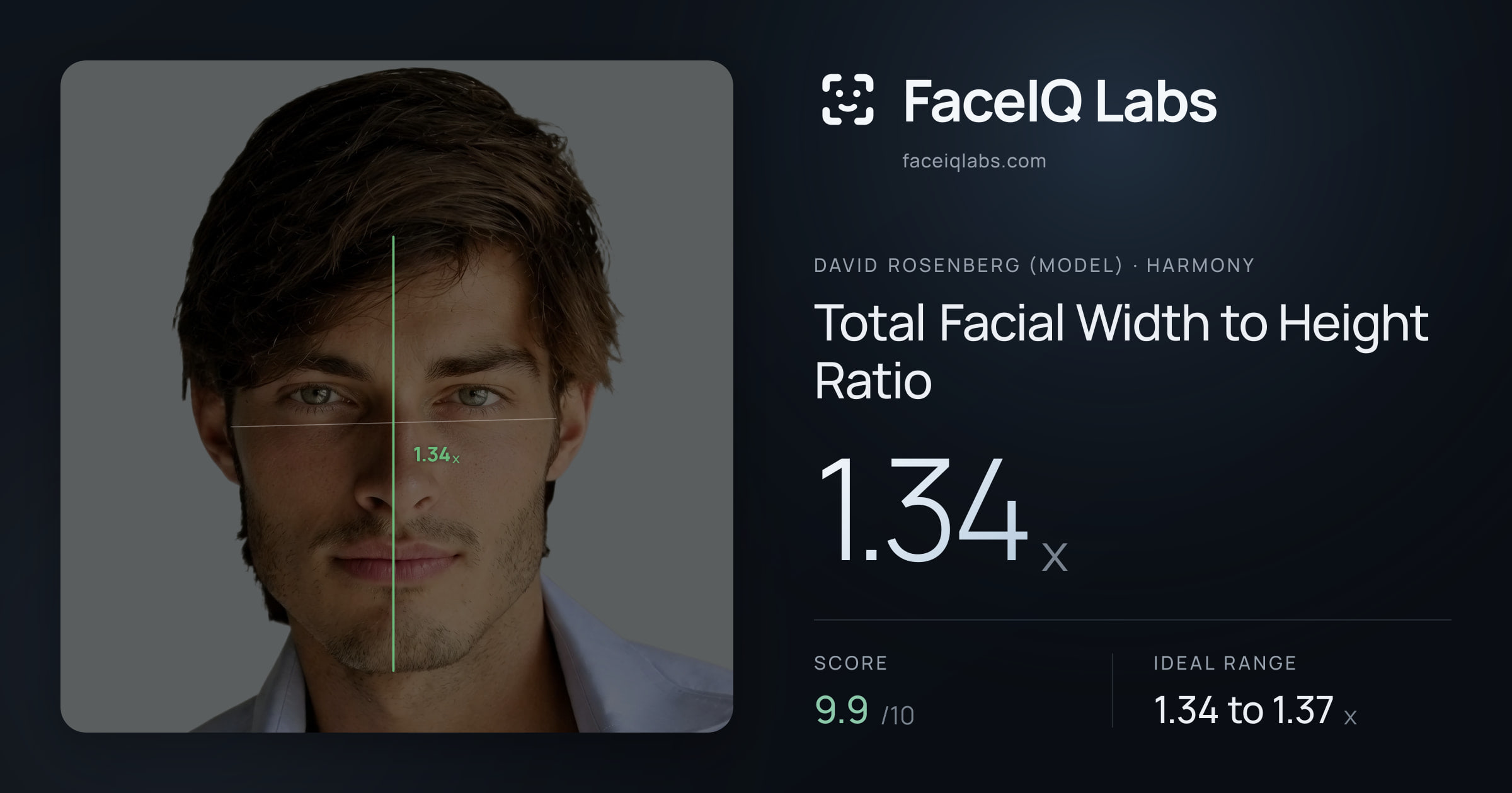 David Rosenberg (Model) Total Facial Width to Height Ratio: 1.34x, drawn on the photo
