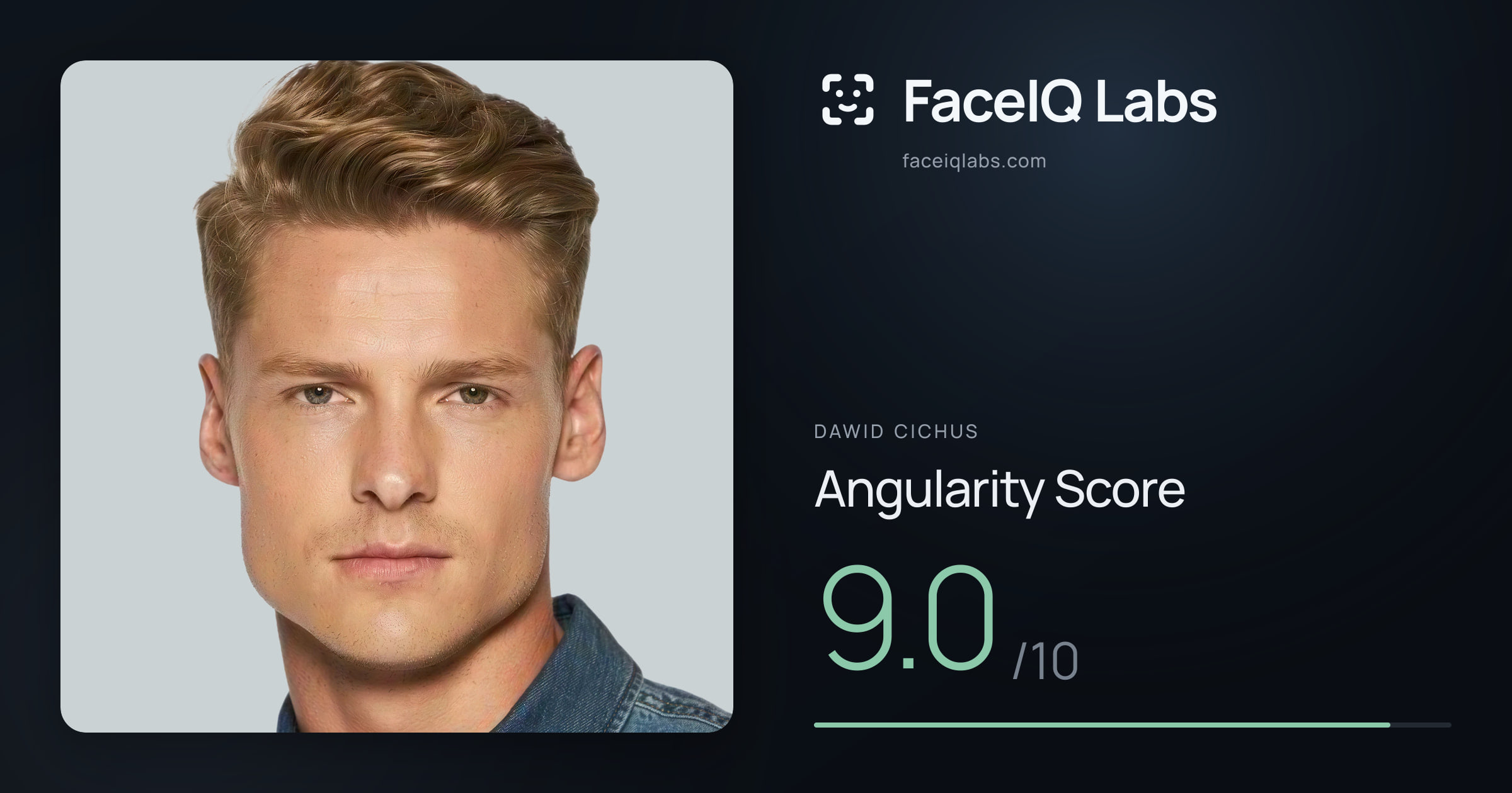 Dawid Cichus Angularity: 9.0/10, with each assessment drawn on the photo