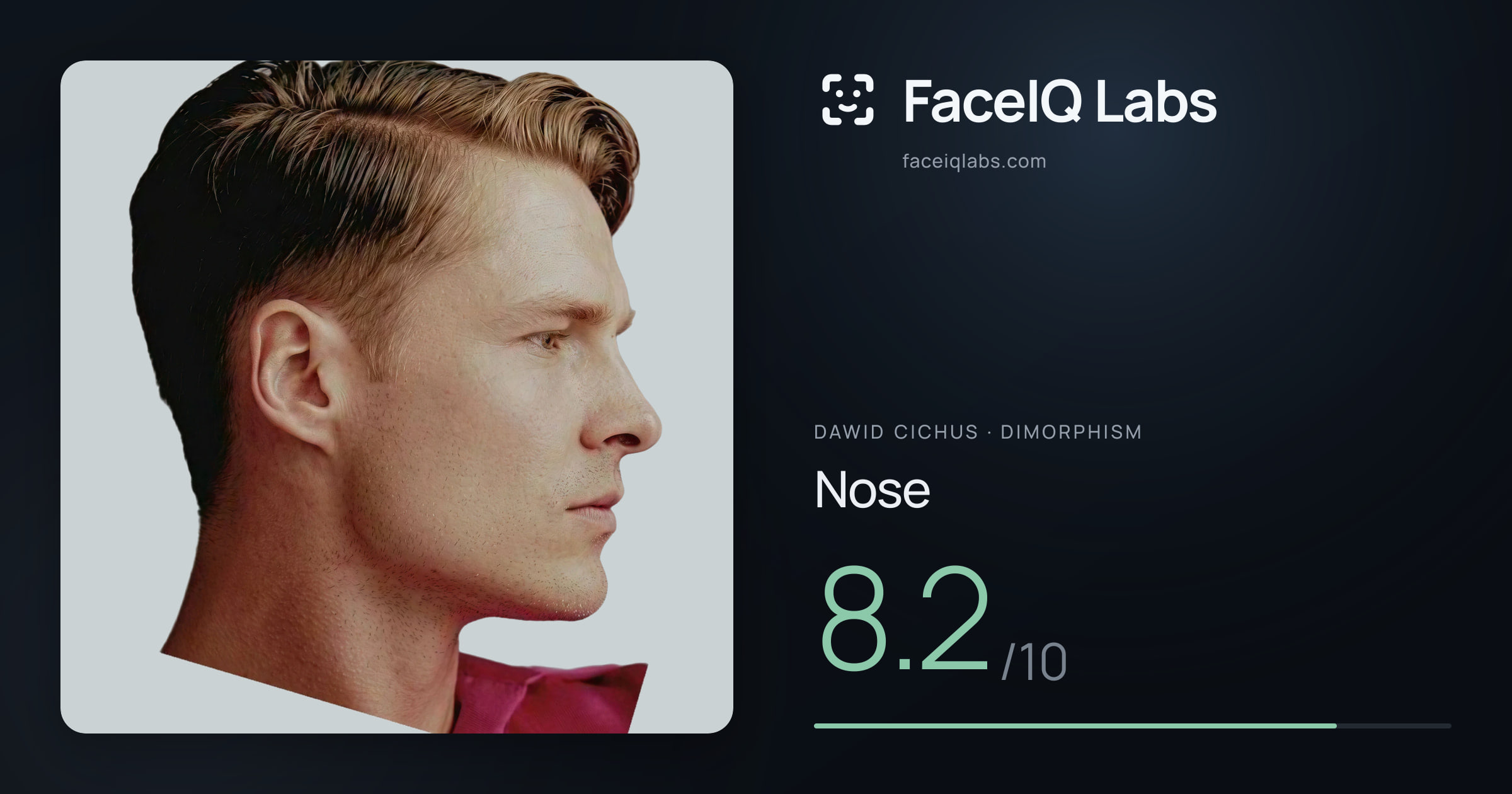 Dawid Cichus Nose: 8.2/10, drawn on the photo