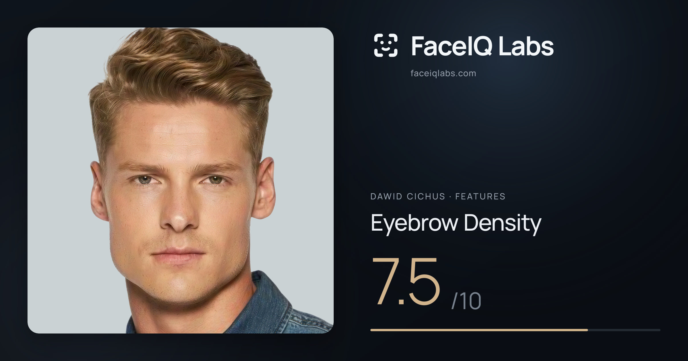 Dawid Cichus Eyebrow Density: 7.5/10, drawn on the photo