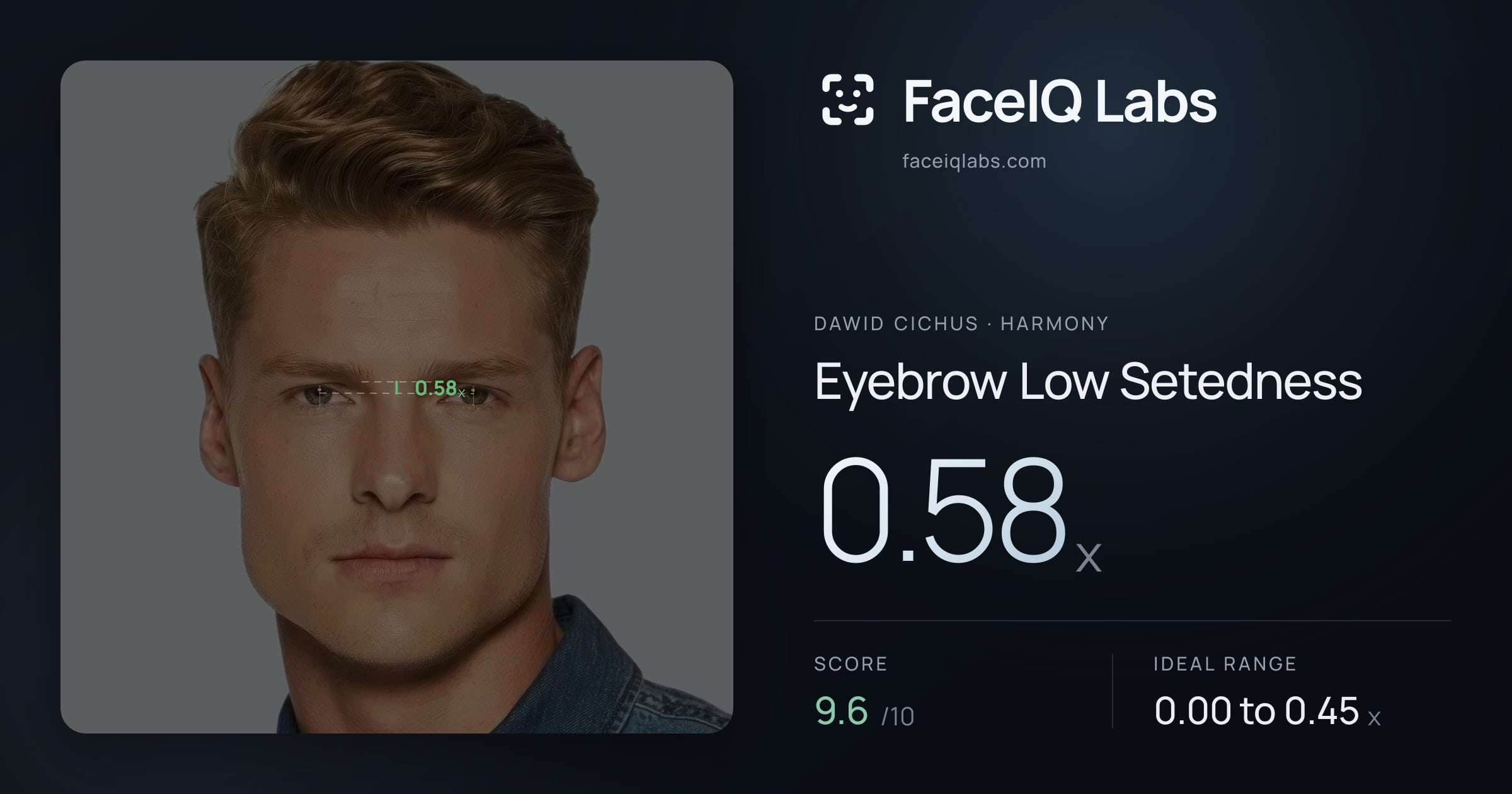 Dawid Cichus Eyebrow Low Setedness: 0.58x, drawn on the photo