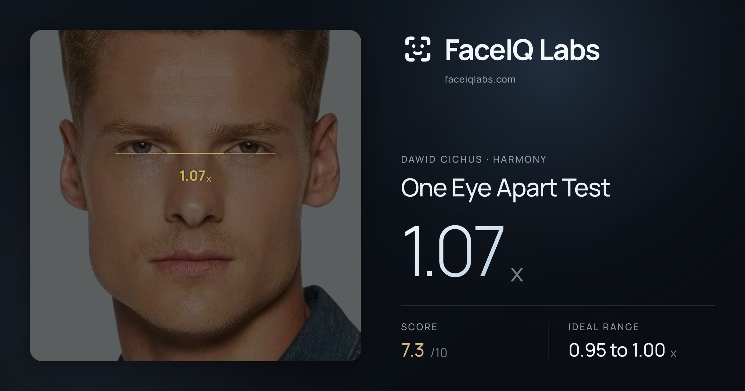 Dawid Cichus One Eye Apart Test: 1.07x, drawn on the photo