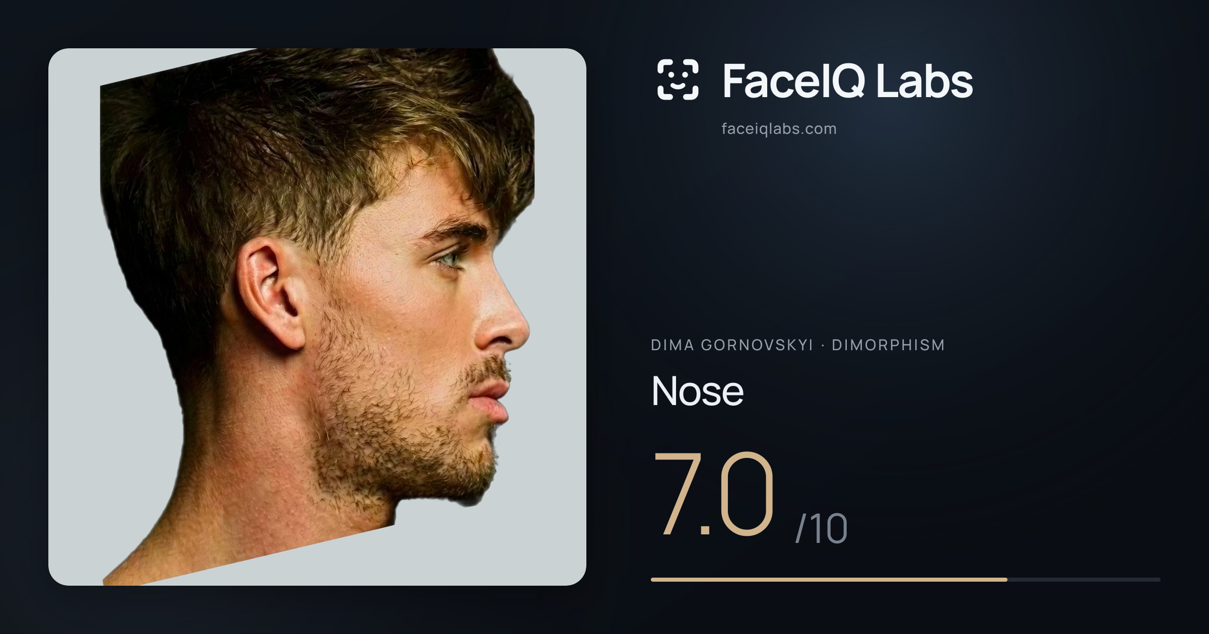 Dima Gornovskyi Nose: 7.0/10, drawn on the photo
