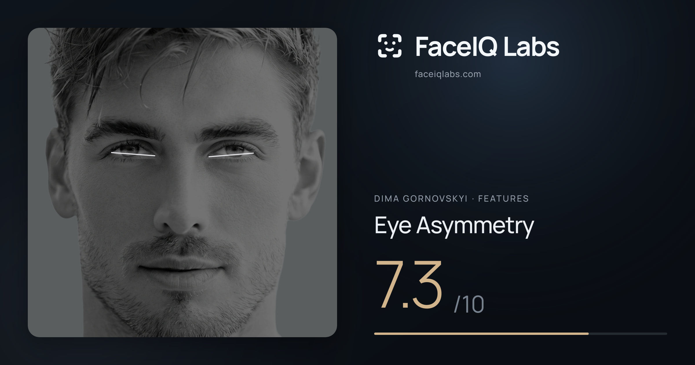 Dima Gornovskyi Eye Asymmetry: 7.3/10, drawn on the photo