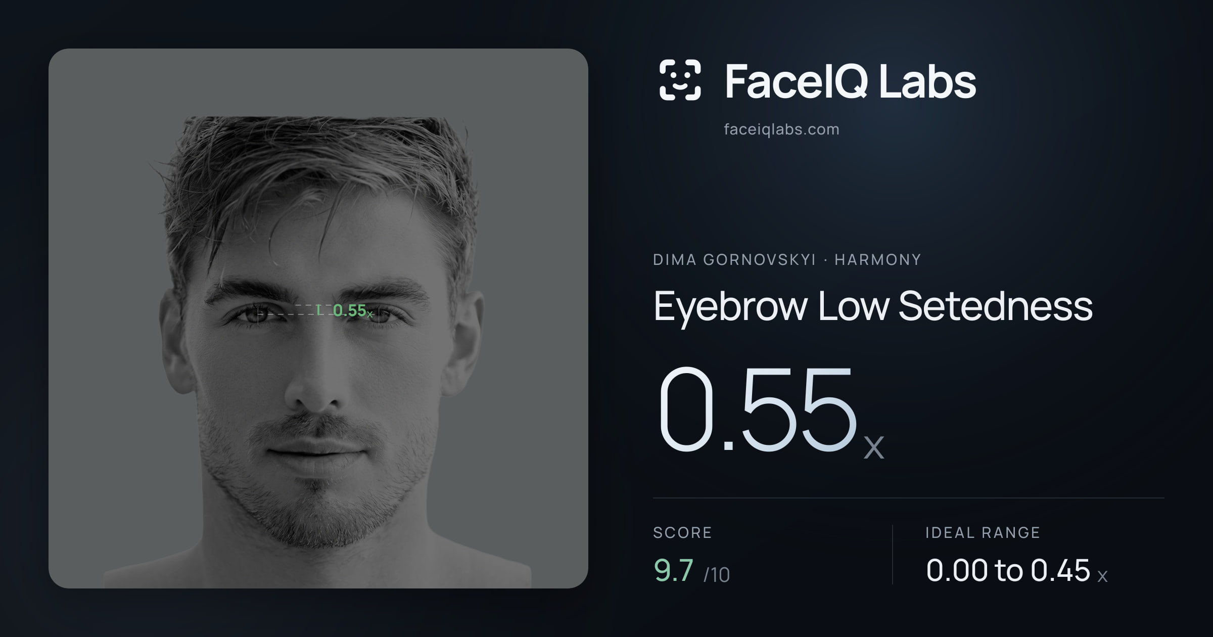 Dima Gornovskyi Eyebrow Low Setedness: 0.55x, drawn on the photo
