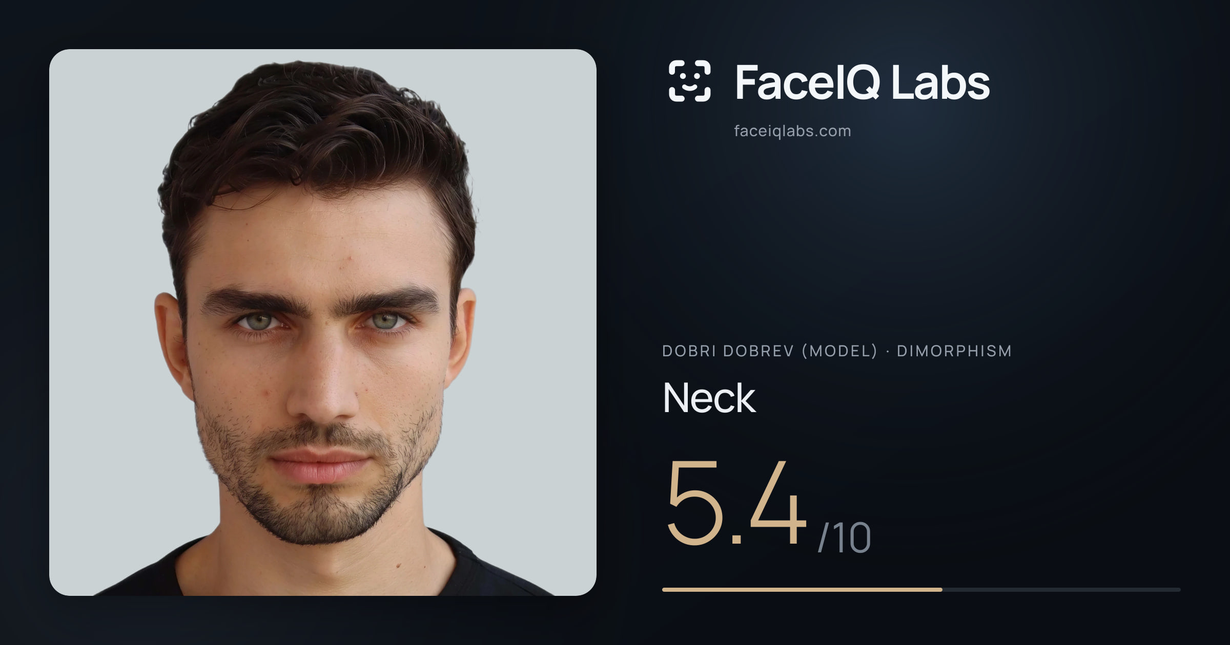Dobri Dobrev (Model) Neck: 5.4/10, drawn on the photo