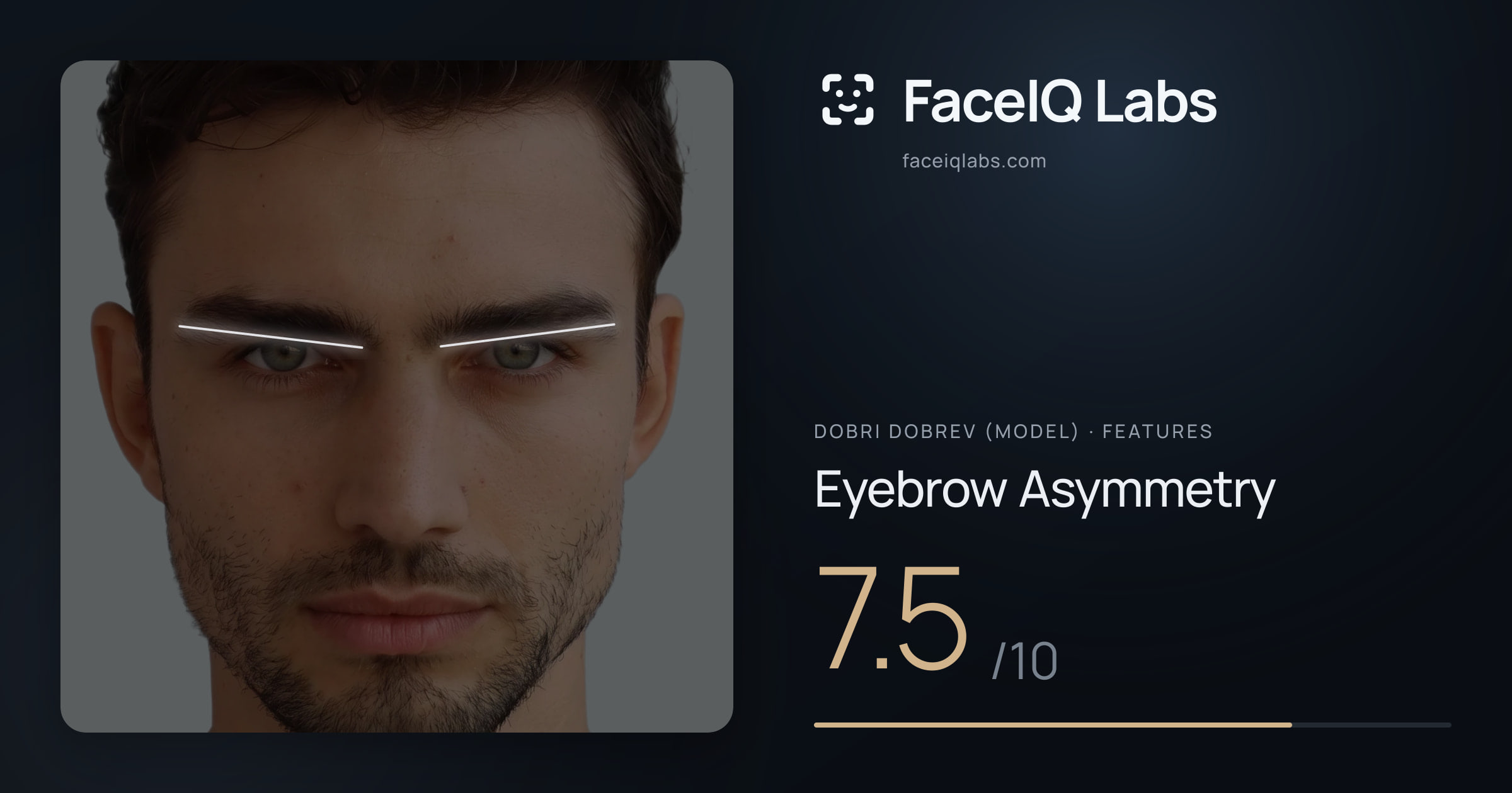 Dobri Dobrev (Model) Eyebrow Asymmetry: 7.5/10, drawn on the photo