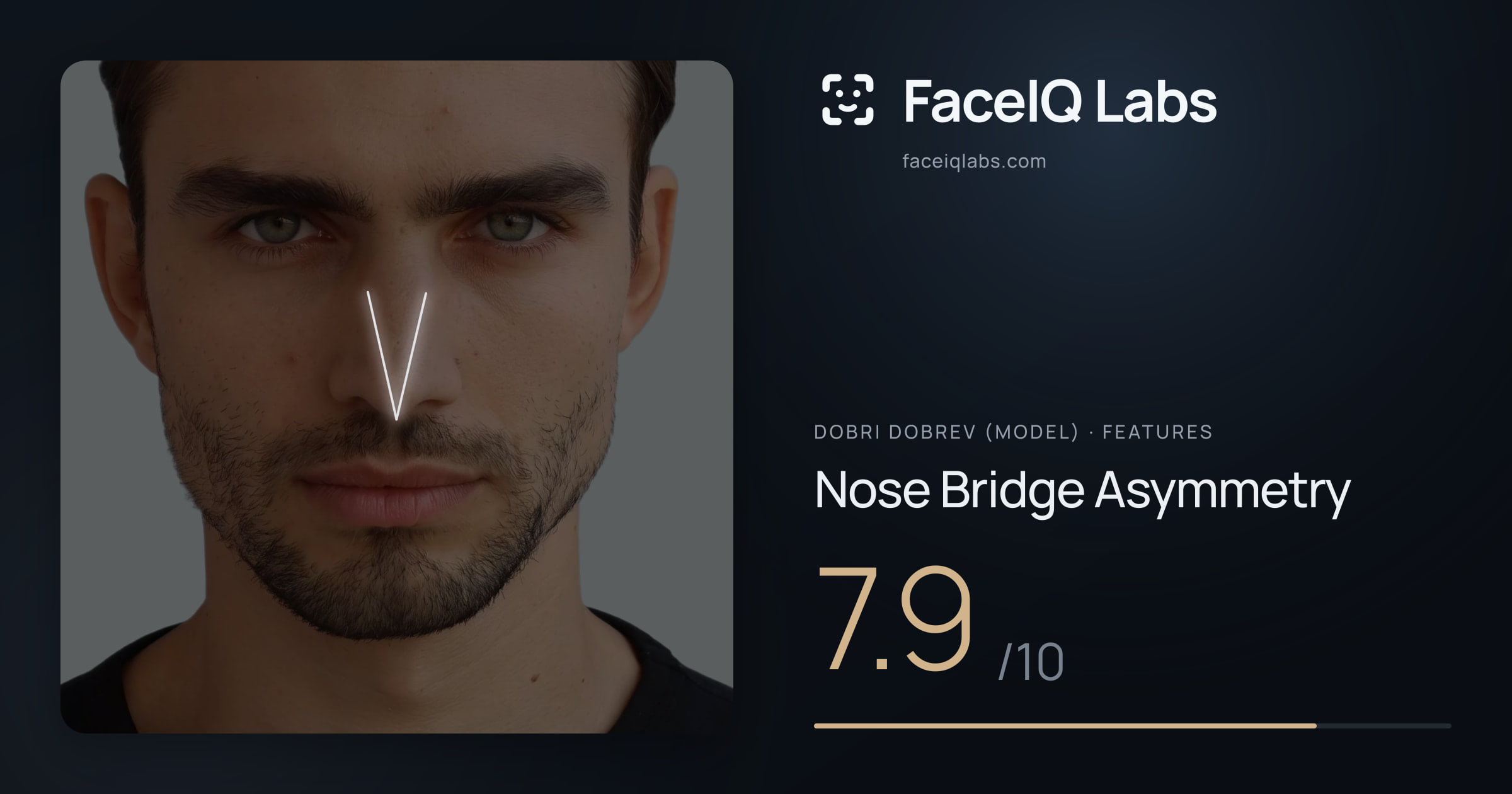 Dobri Dobrev (Model) Nose Bridge Asymmetry: 7.9/10, drawn on the photo