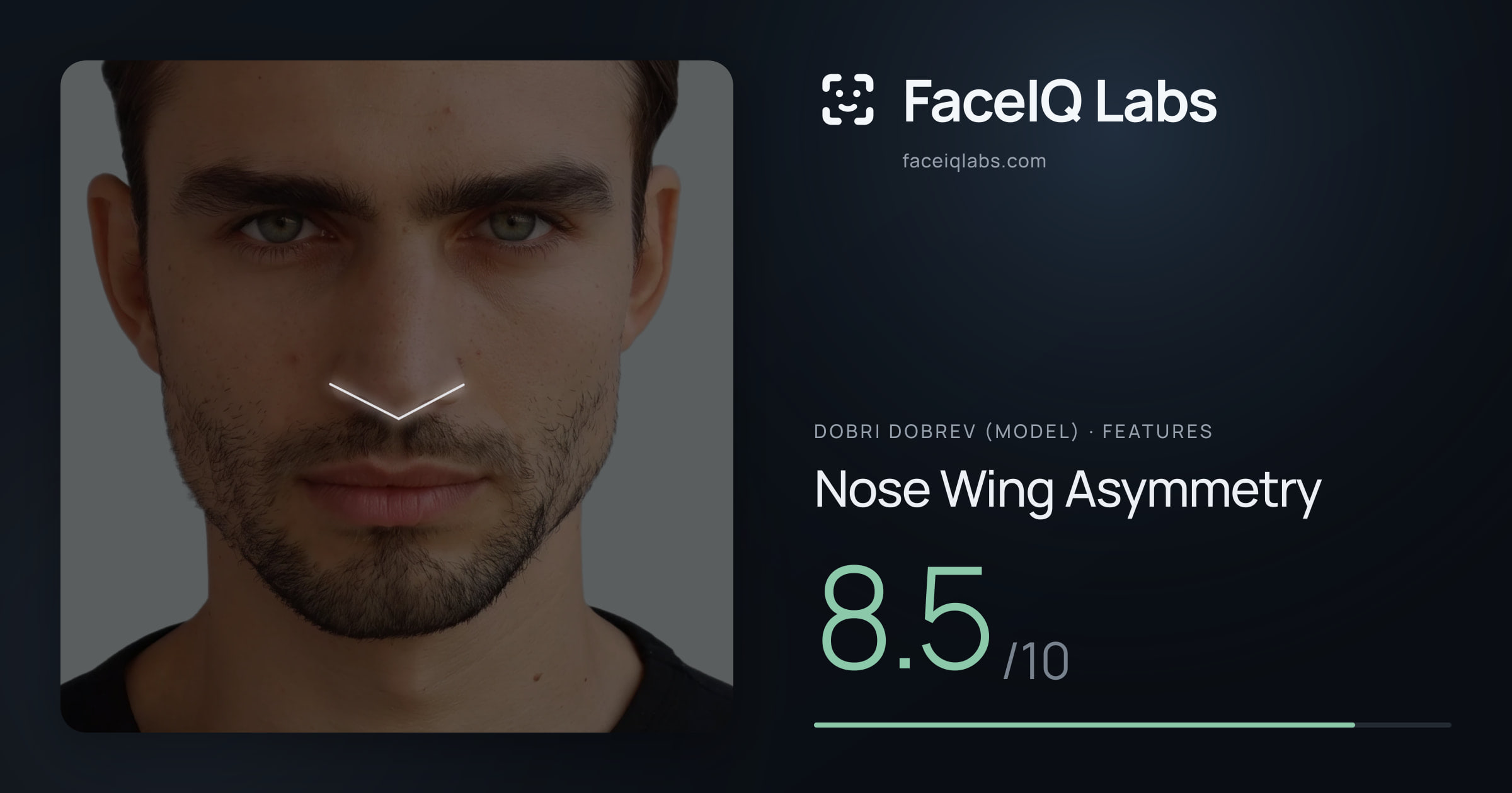 Dobri Dobrev (Model) Nose Wing Asymmetry: 8.5/10, drawn on the photo