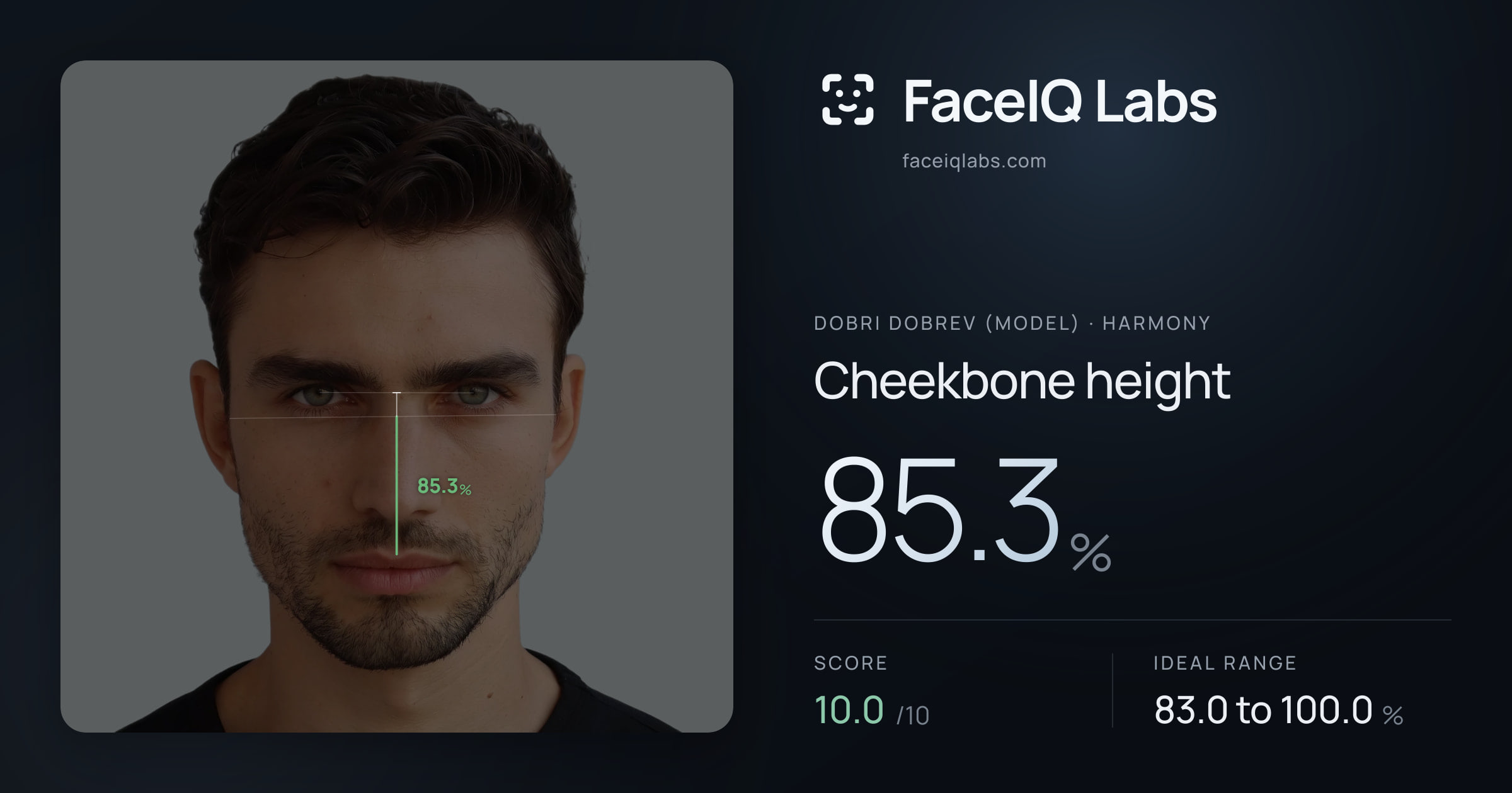 Dobri Dobrev (Model) Cheekbone height: 85.3%, drawn on the photo