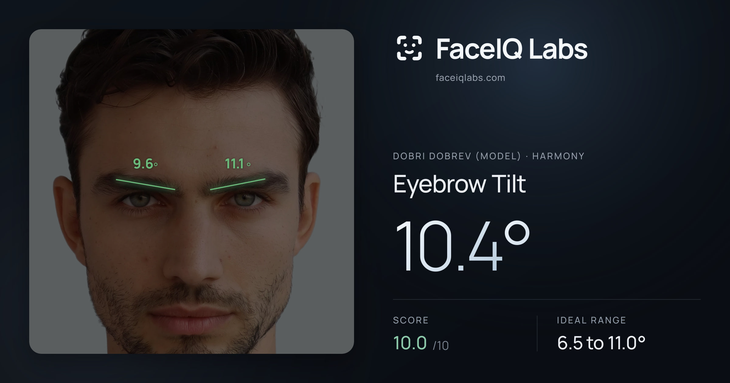 Dobri Dobrev (Model) Eyebrow Tilt: 10.4°, drawn on the photo