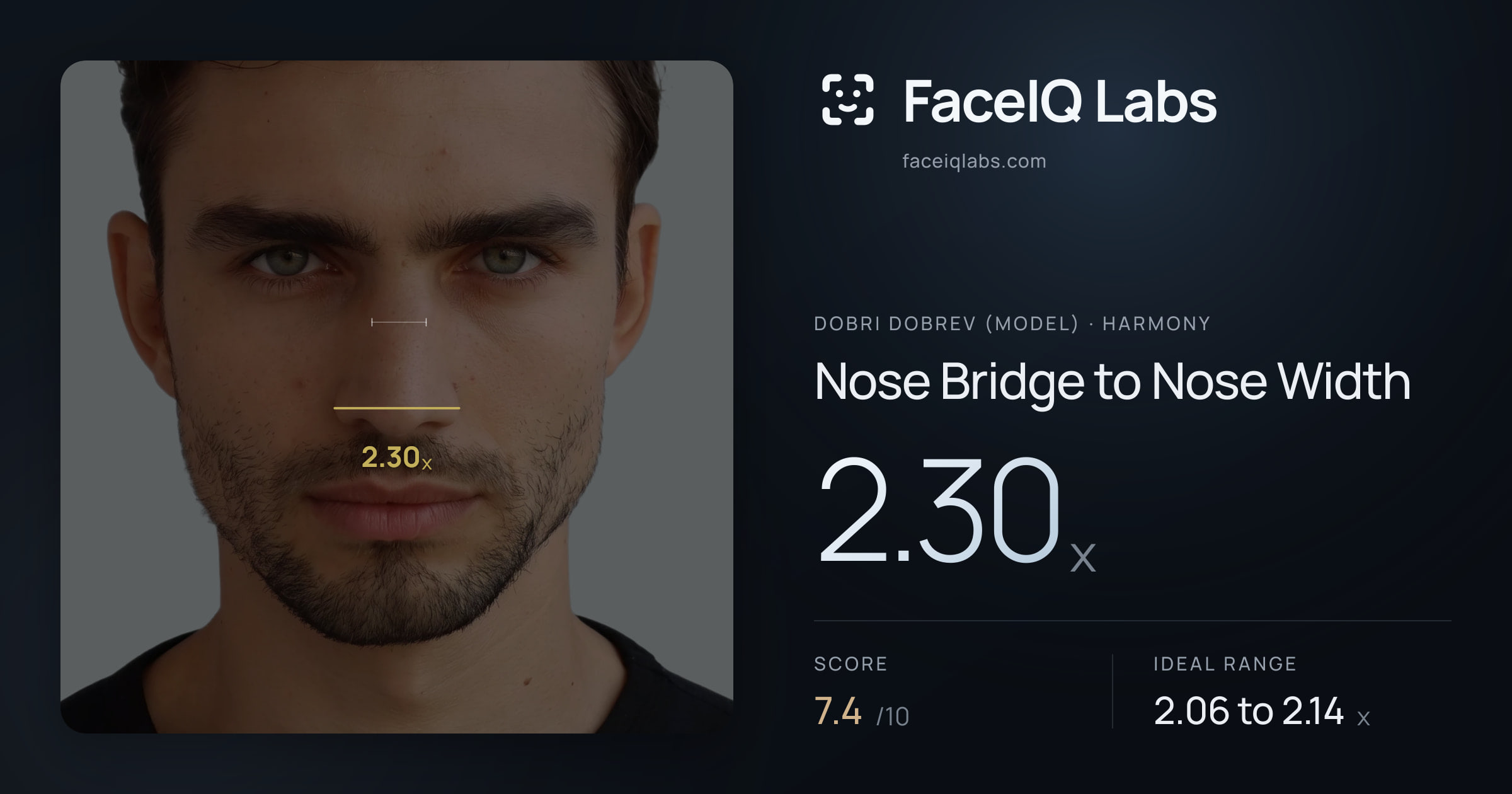 Dobri Dobrev (Model) Nose Bridge to Nose Width: 2.30x, drawn on the photo