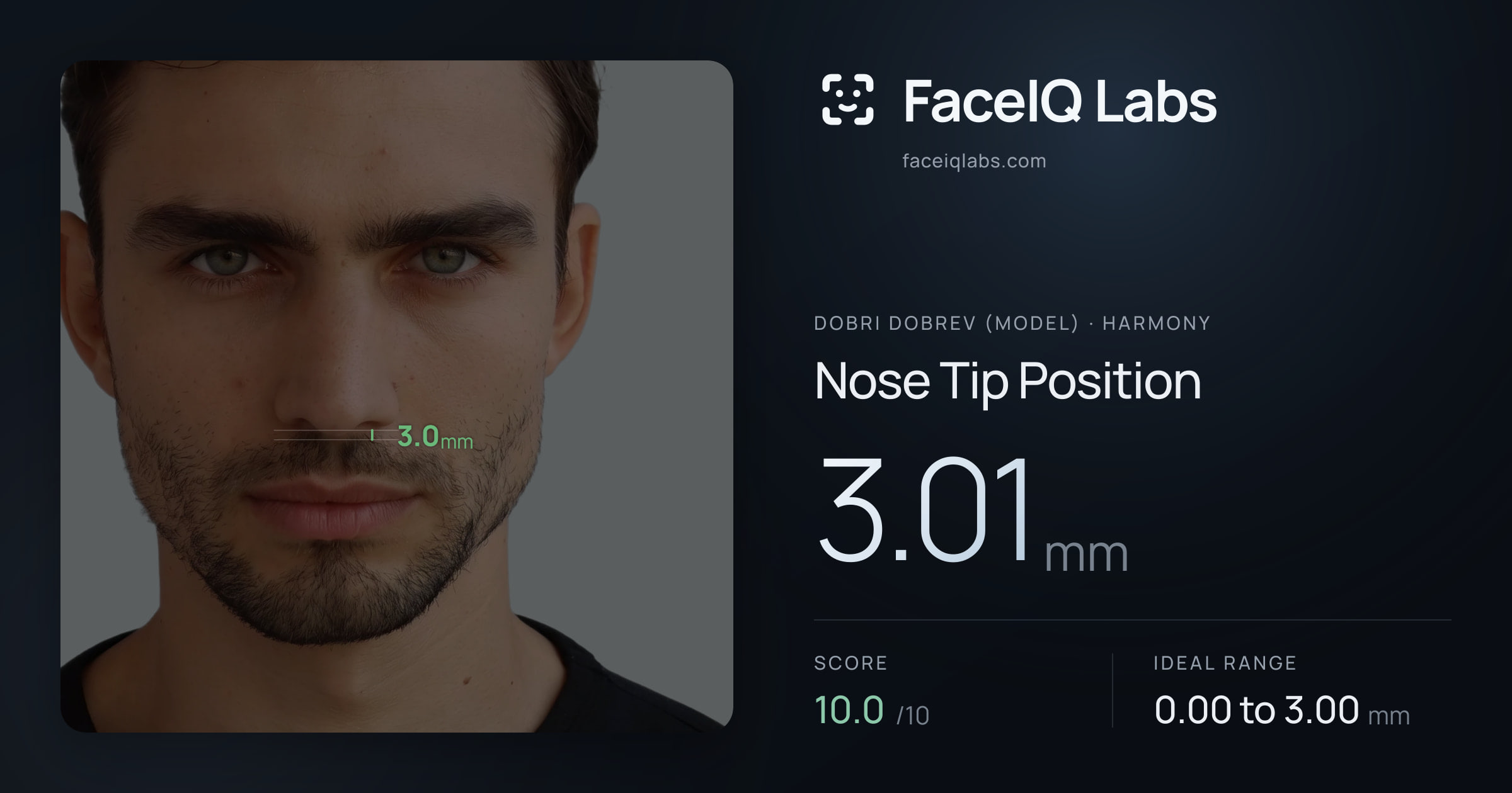 Dobri Dobrev (Model) Nose Tip Position: 3.01mm, drawn on the photo