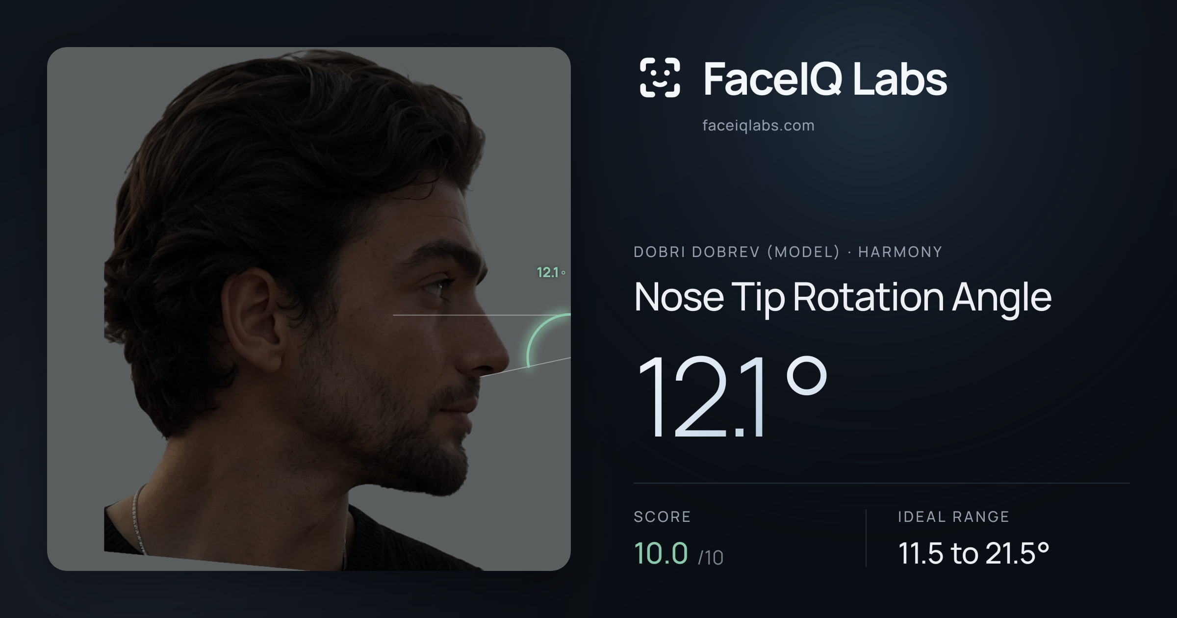 Dobri Dobrev (Model) Nose Tip Rotation Angle: 12.1°, drawn on the photo