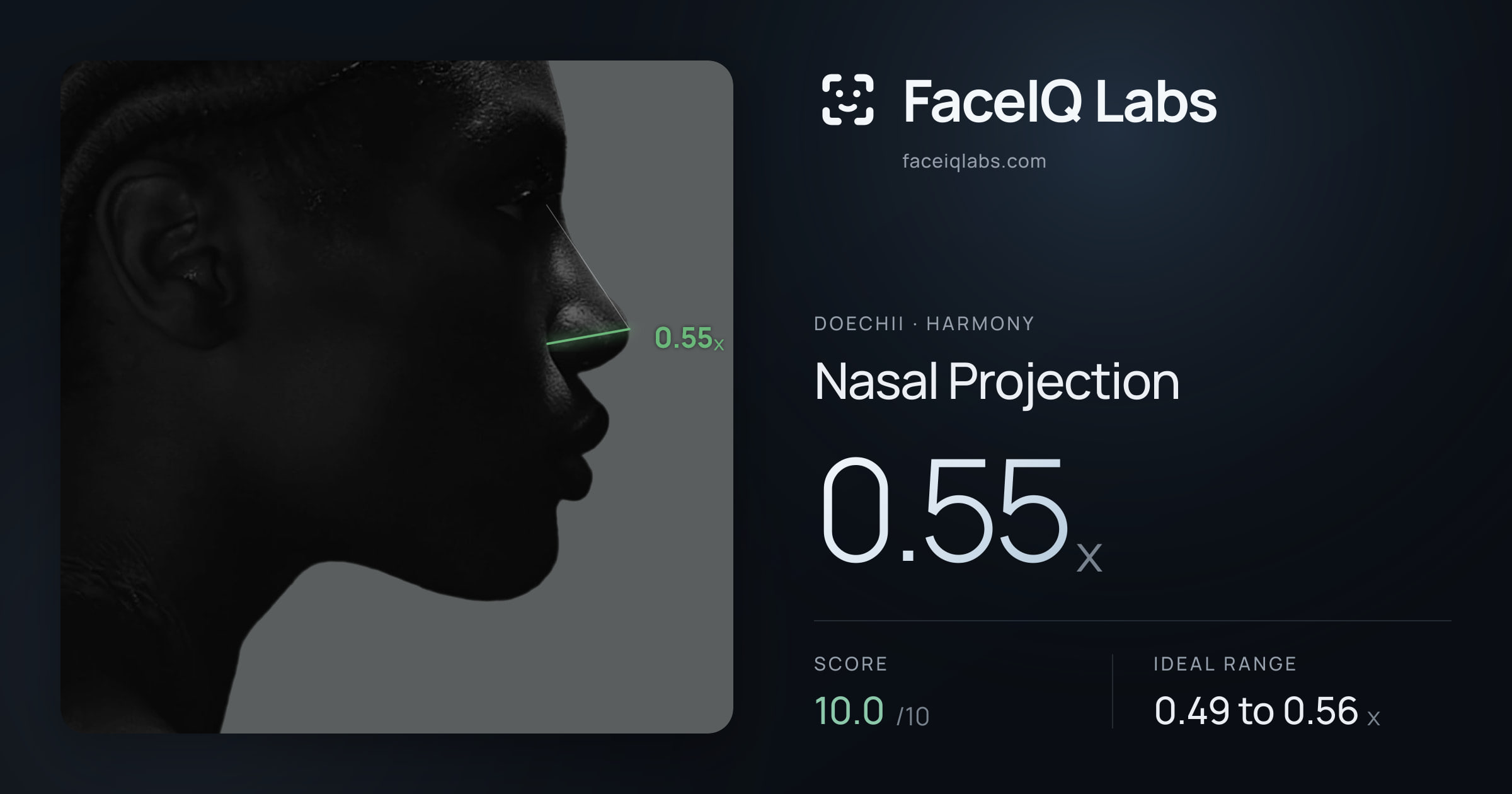 Doechii Nasal Projection: 0.55x, drawn on the photo