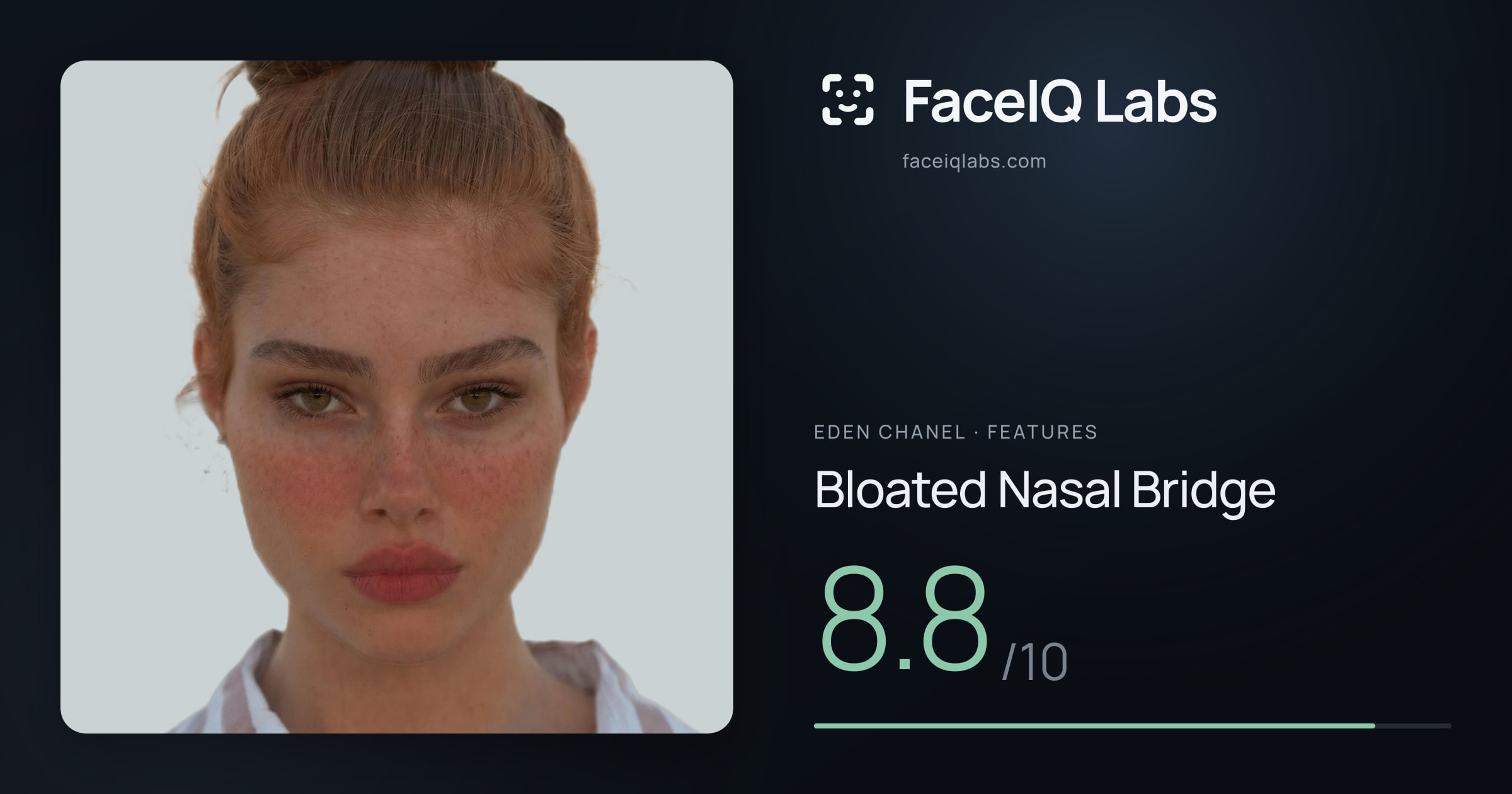 Eden Chanel Bloated Nasal Bridge: 8.8/10, drawn on the photo