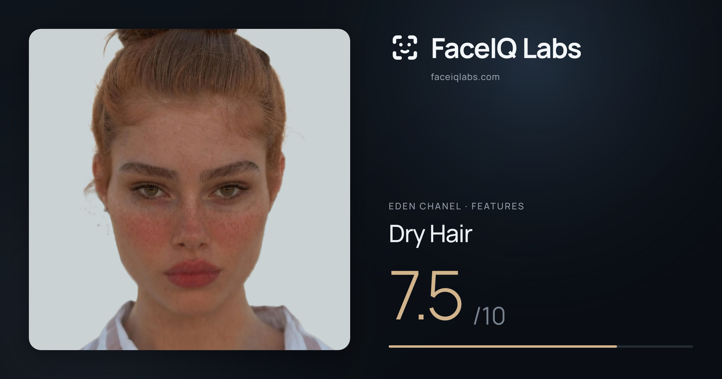 Eden Chanel Dry Hair: 7.5/10, drawn on the photo